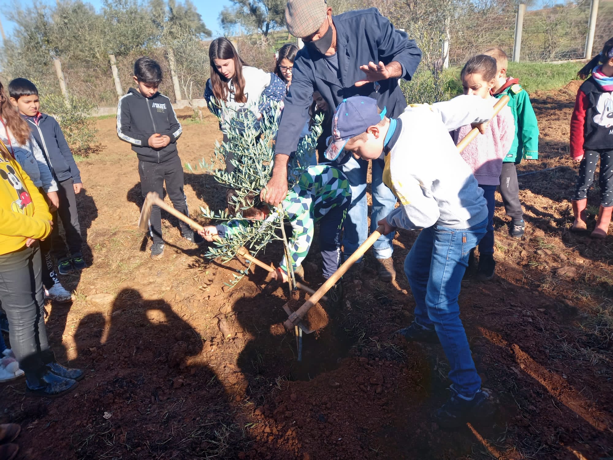 Preparação do terreno para plantio, pelos alunos do 4º ano e do auxiliar de ação educativa, acompanhados do professor titular em Dezembro.