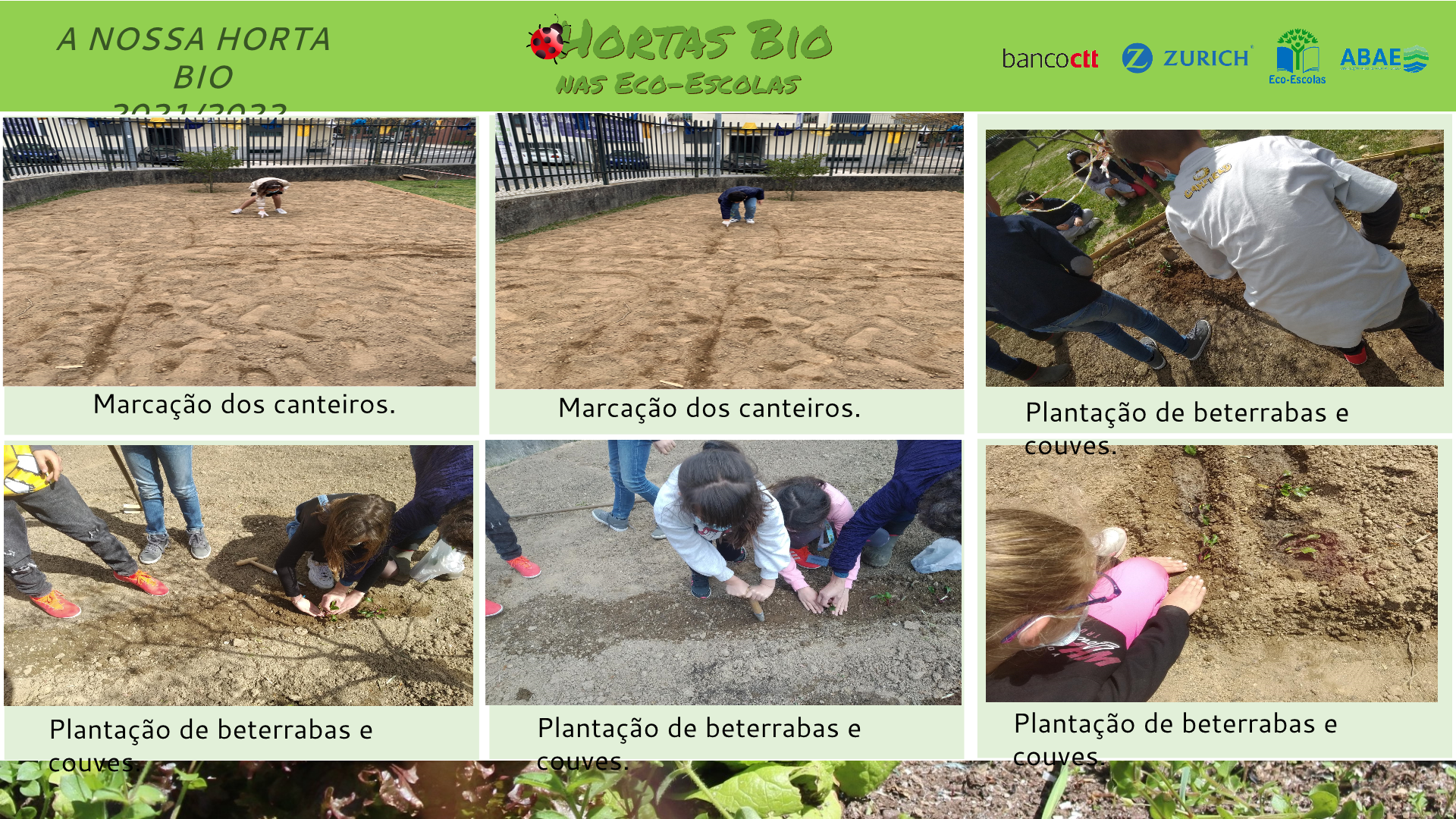 Marcação de canteiros e plantação de culturas.