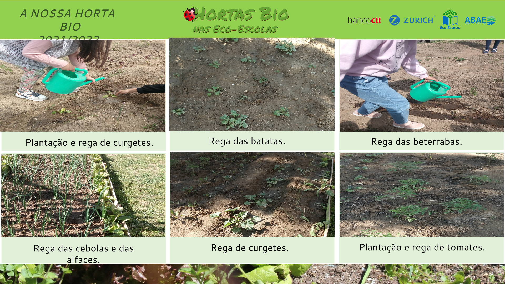 Plantação e rega das culturas.