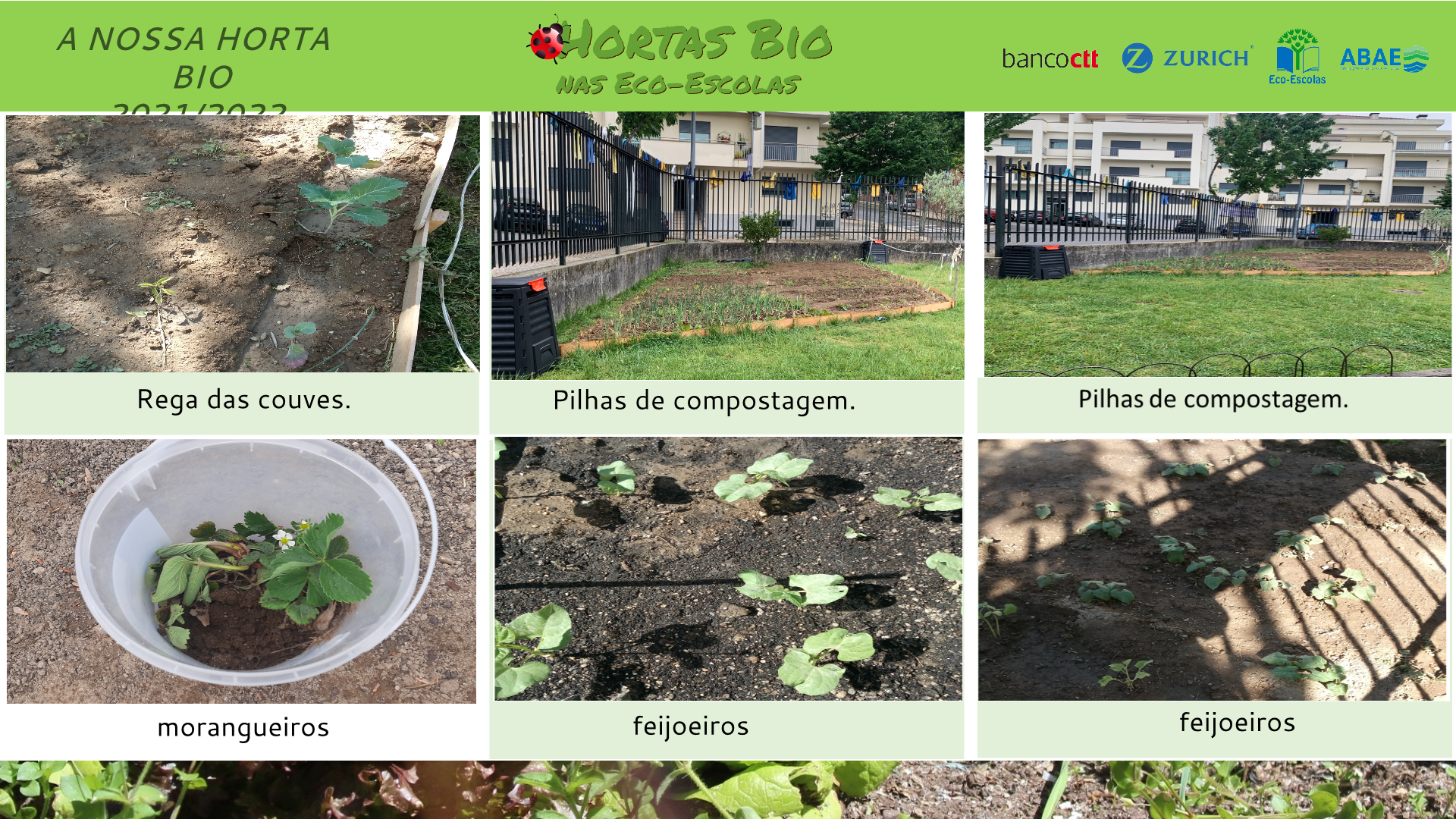 culturas e pilha de compostagem.