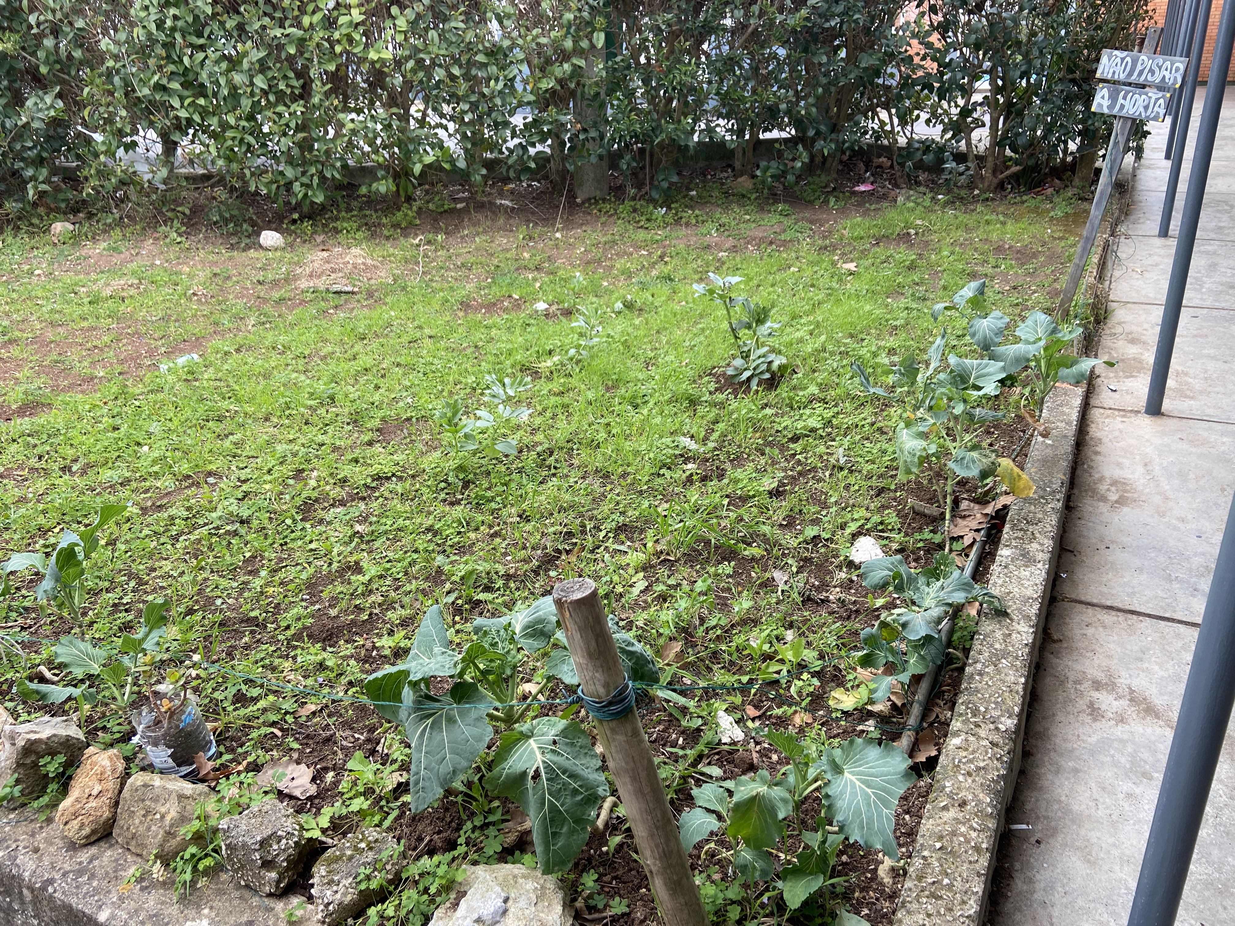 Horta e compostor, ainda sem intervenção.
