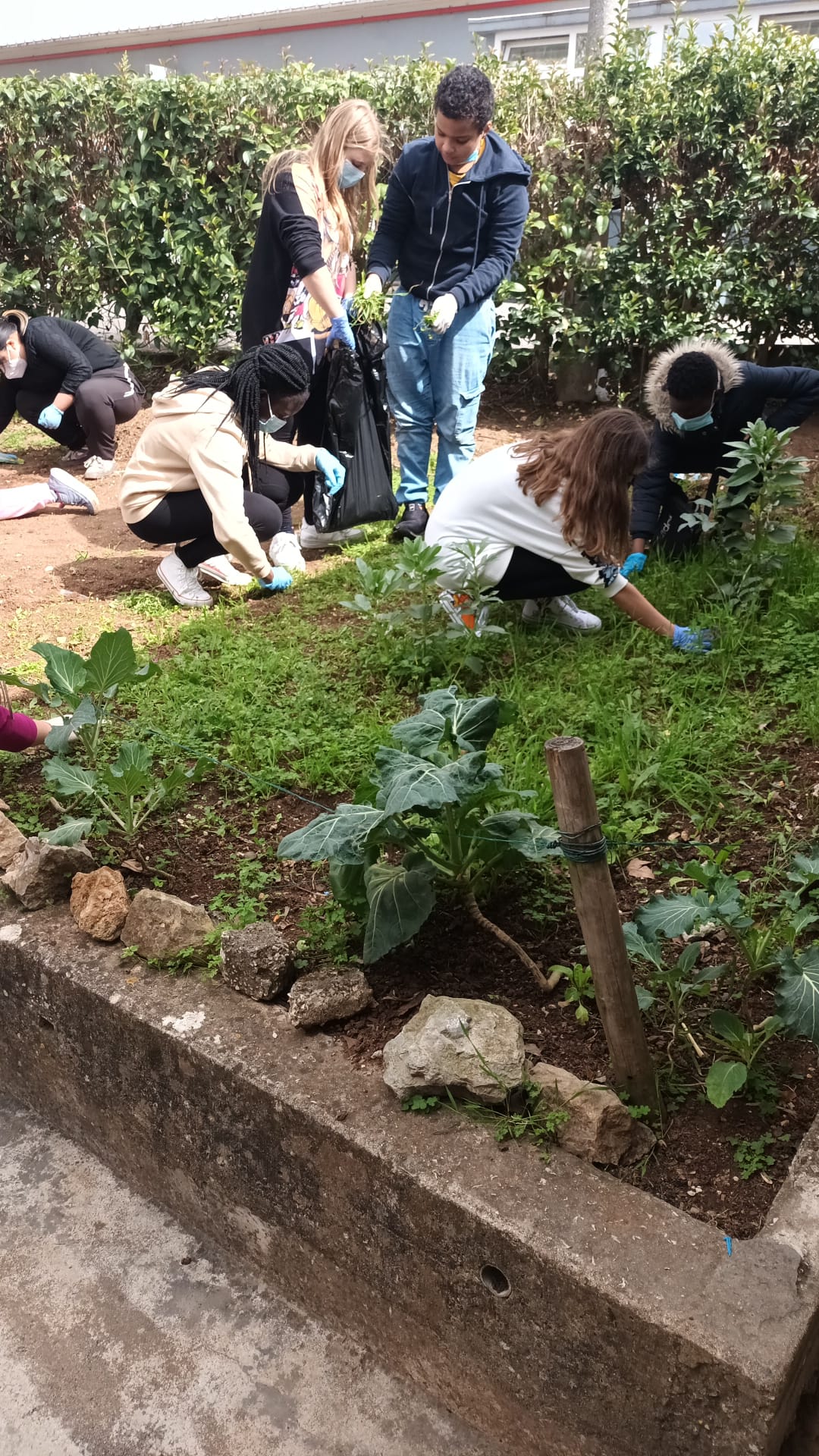 Trabalho dos alunos na reabilitação da horta.