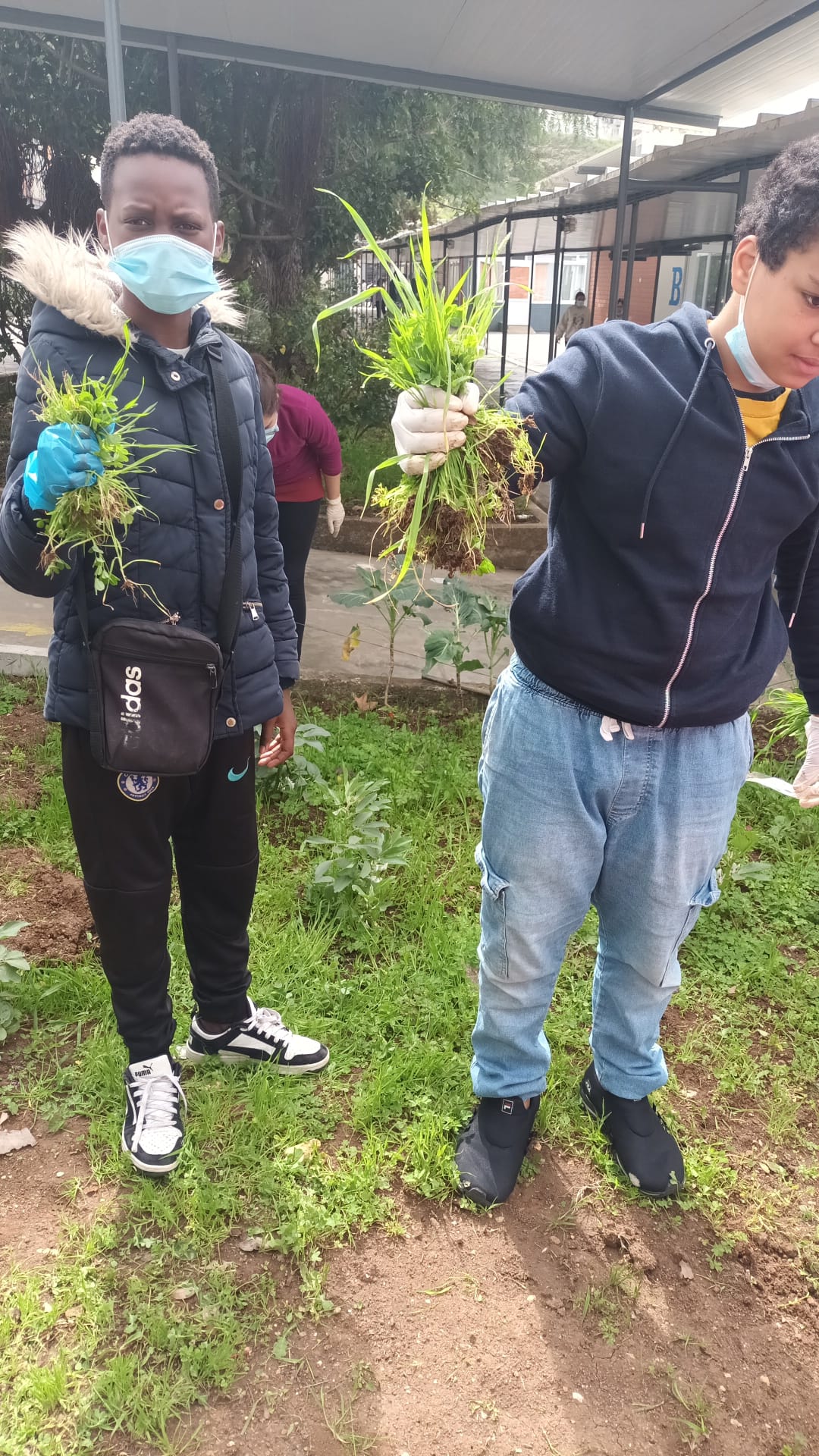 Trabalho dos alunos na reabilitação da horta.