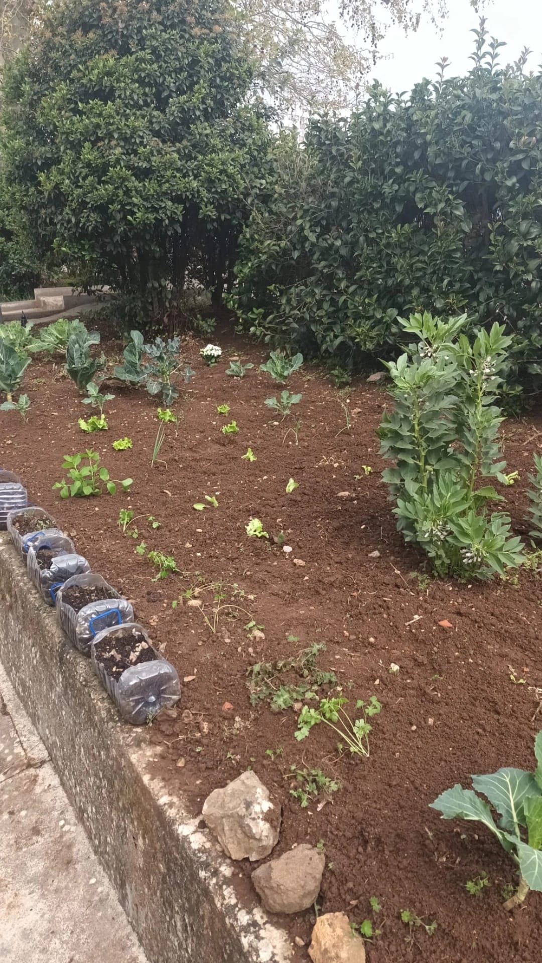 Horta renovada.