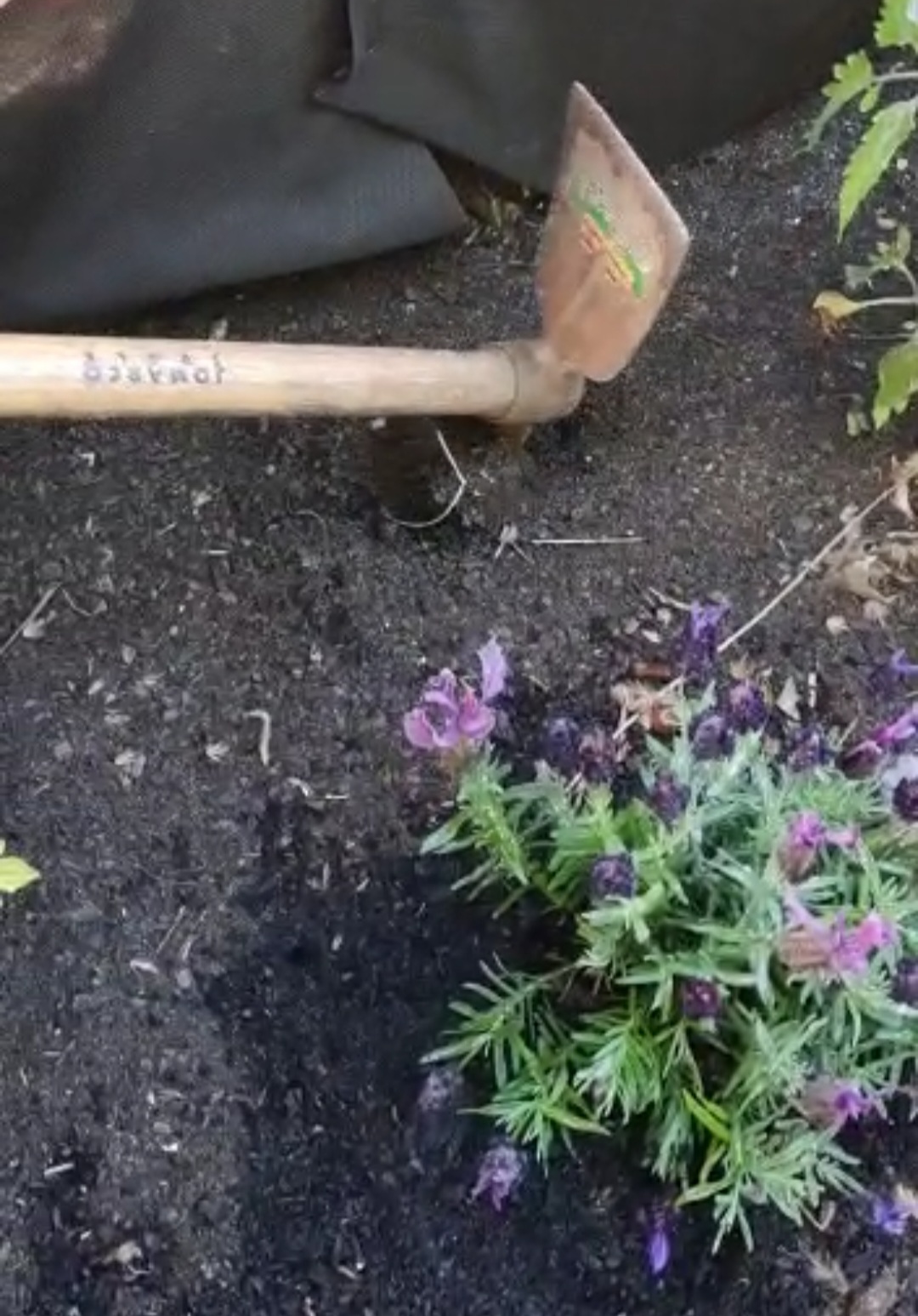 Preparação do canteiro para plantação de produtos hortícolas.