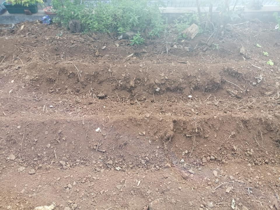 Preparação da terra