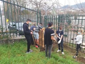 Horta Biológica (construção de talhões elevados, utilizando paletes)