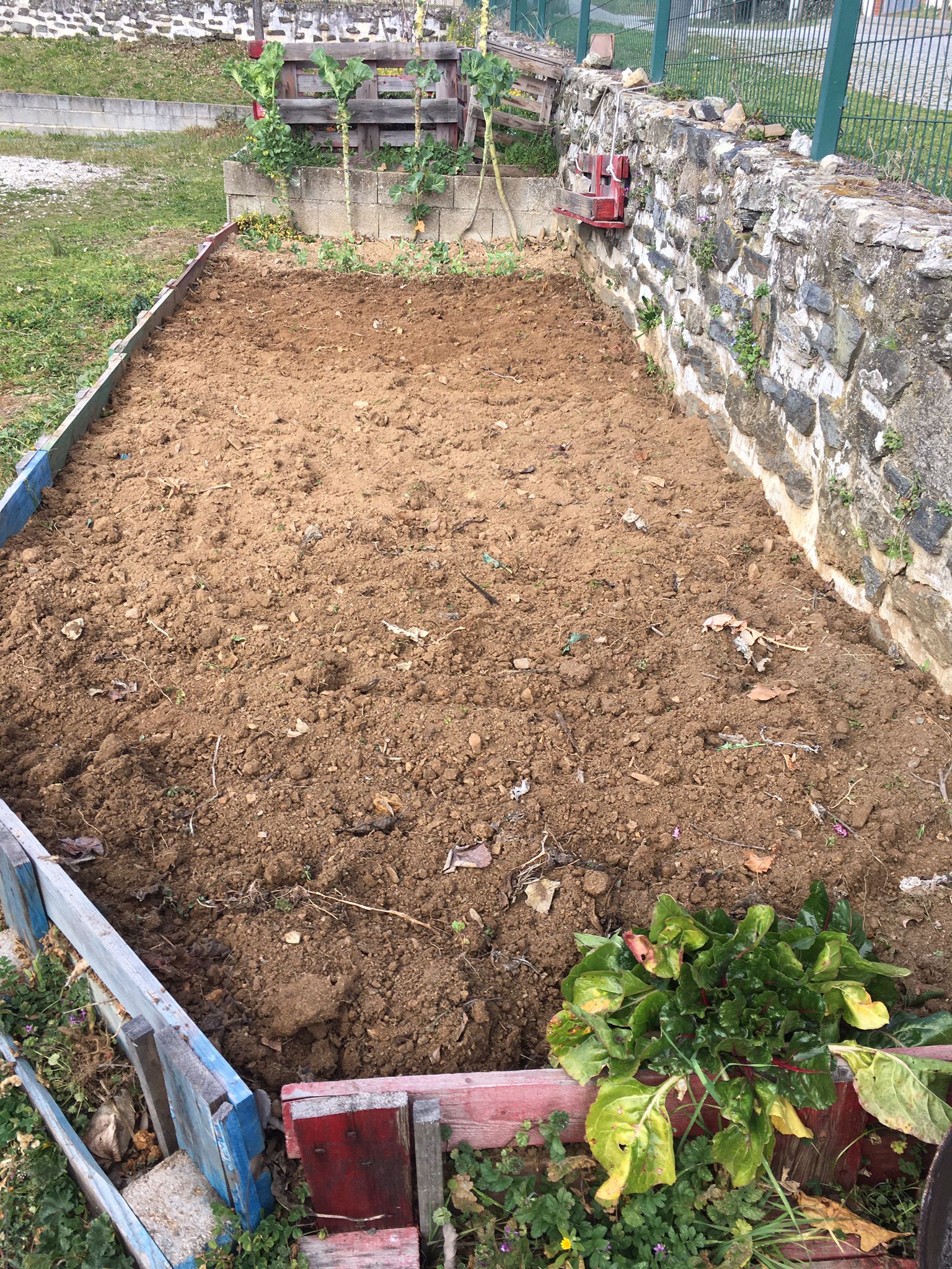 Terra preparada para nova plantação