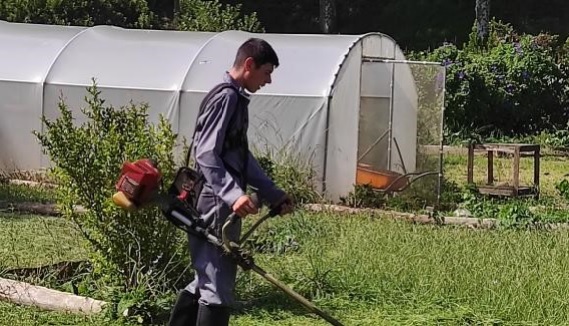 Corte de infestantes
Após um verão chuvoso, houve necessidade de roçar as plantas infestantes que se multiplicaram pelo terreno na horta.