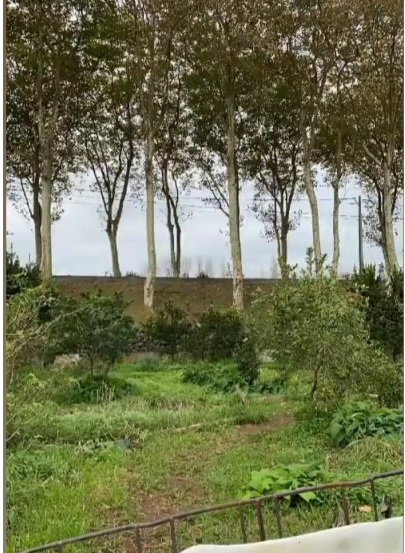 Horta: início do ano letivo
Esta foto ilustra uma vista geral da horta após as férias do verão.
Havia muito a fazer, para recuperar o seu brilho.
