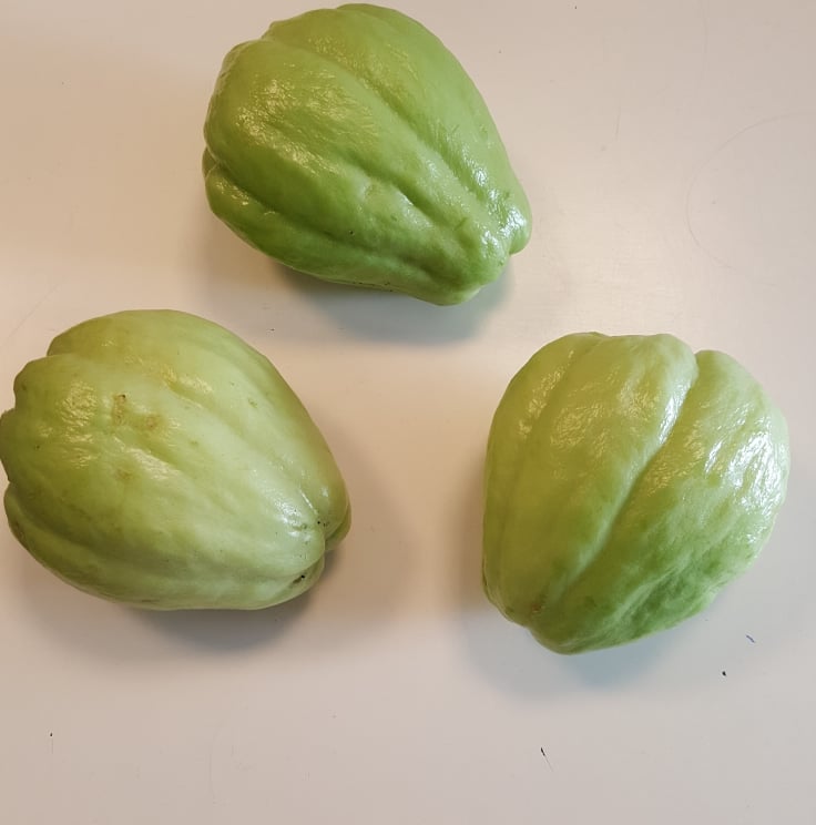 Produtos da Horta Bio - Chuchu - novembro 2021