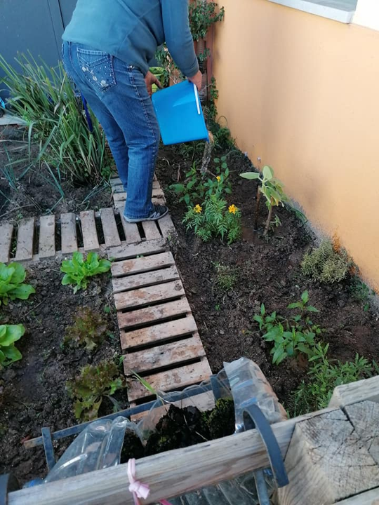 Hora da rega.