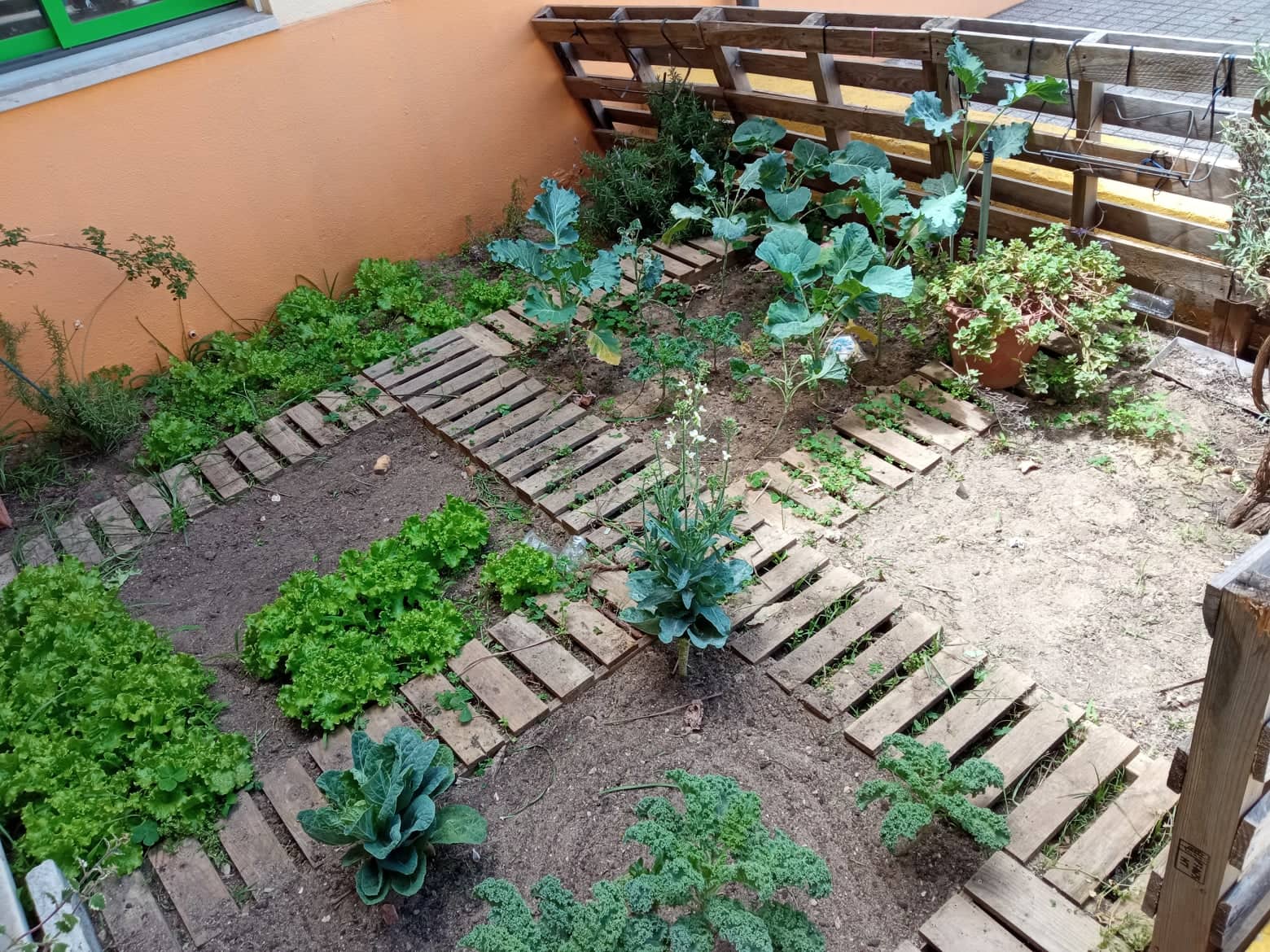A horta bio em 31 de maio de 2022.