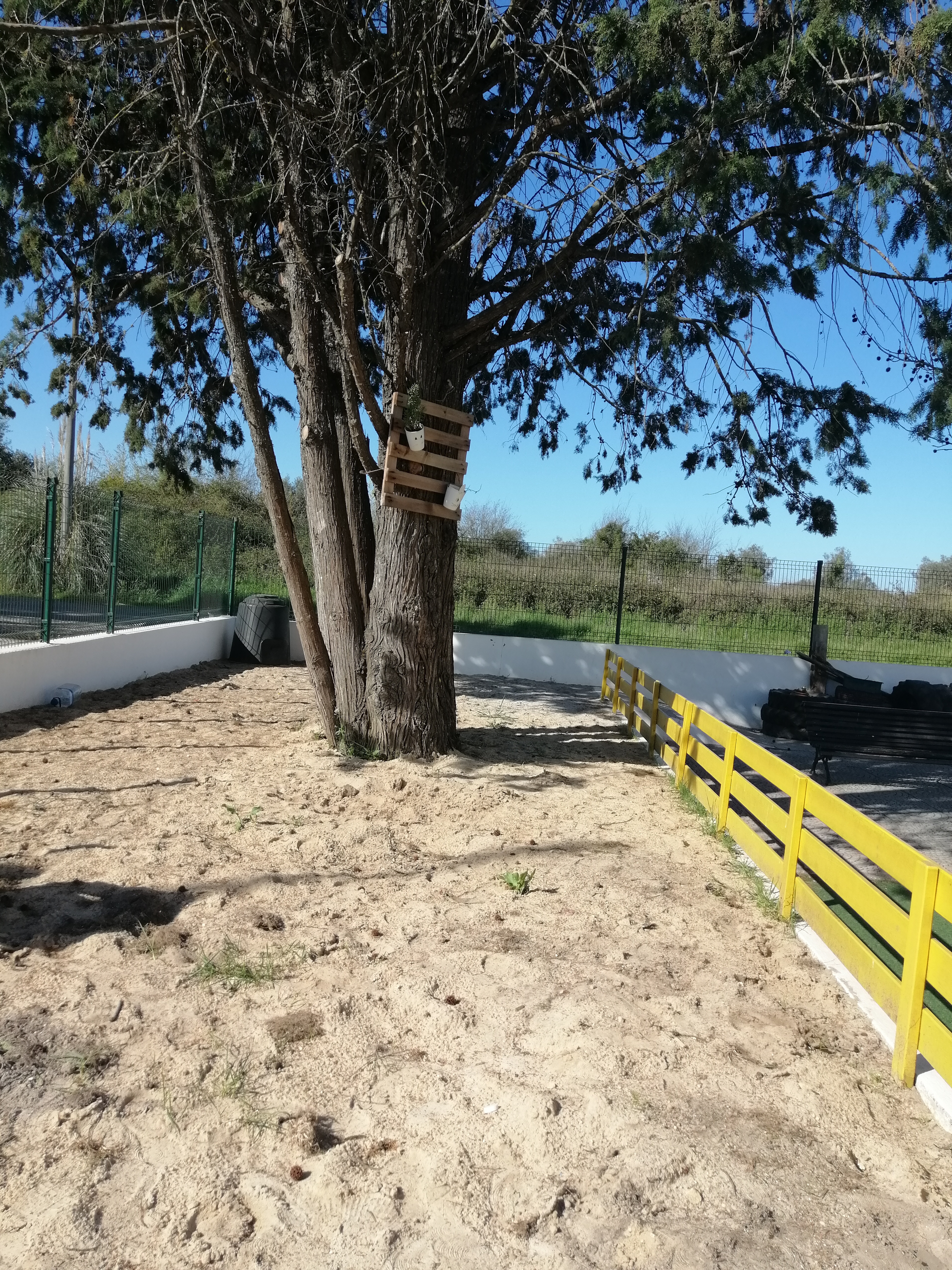 Espaço depois de limpo das ervas daninhas.