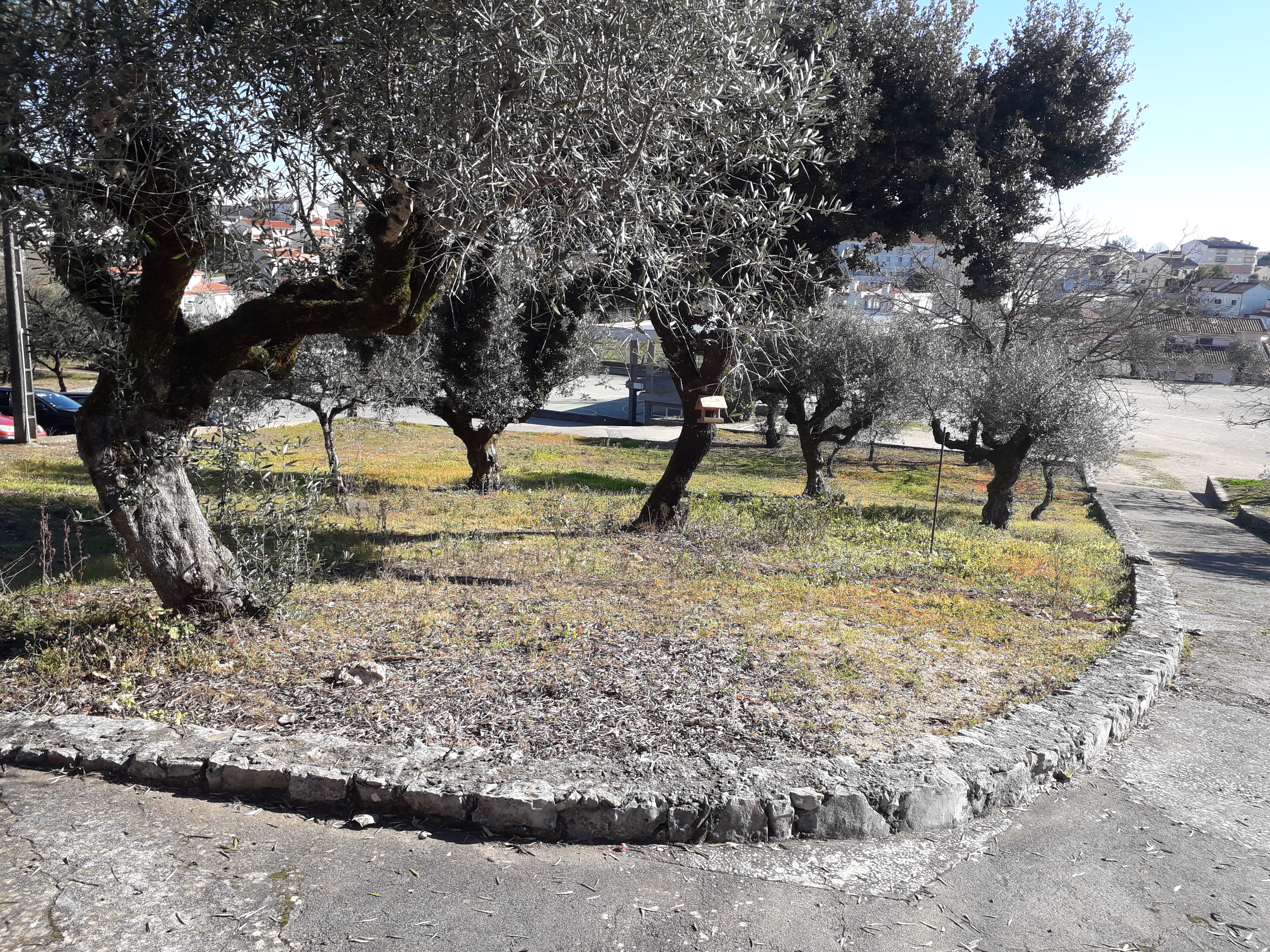 Área de terreno onde implementar a Horta Bio.