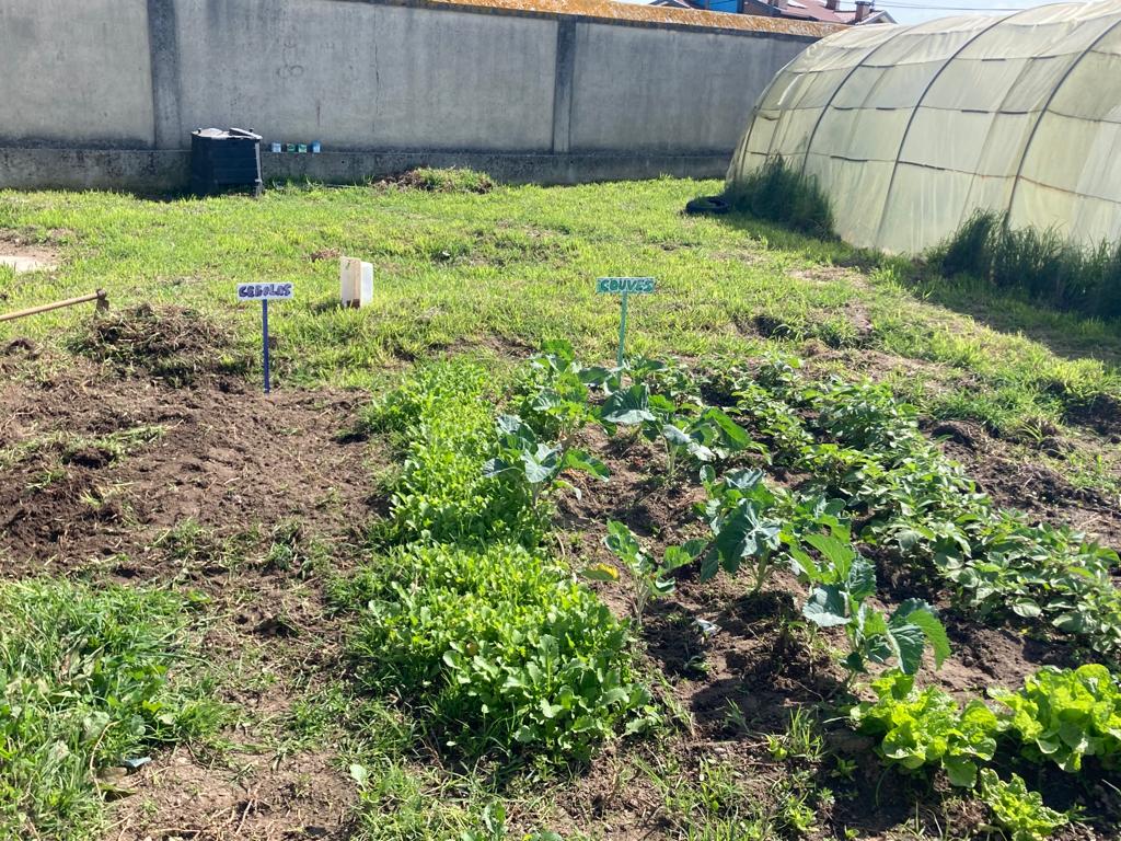 Plantações no Exterior