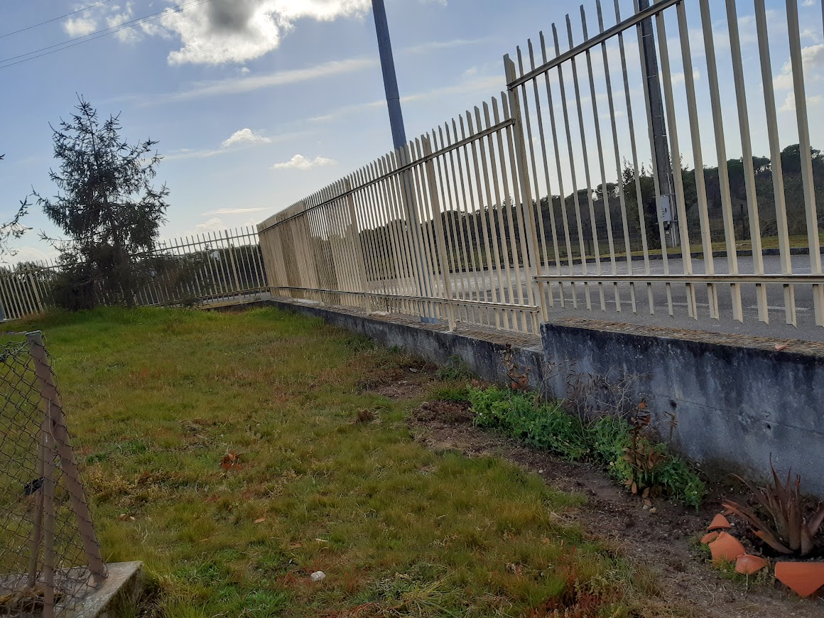 O terreno inicial que decidimos ocupar com a horta
