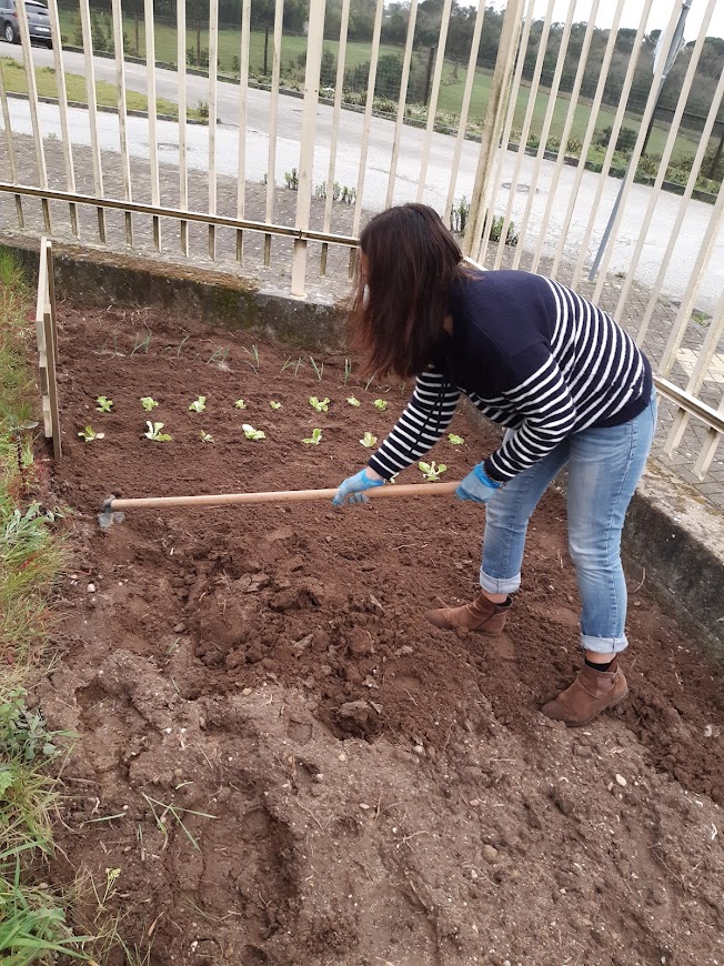 Primeiras plantações na horta