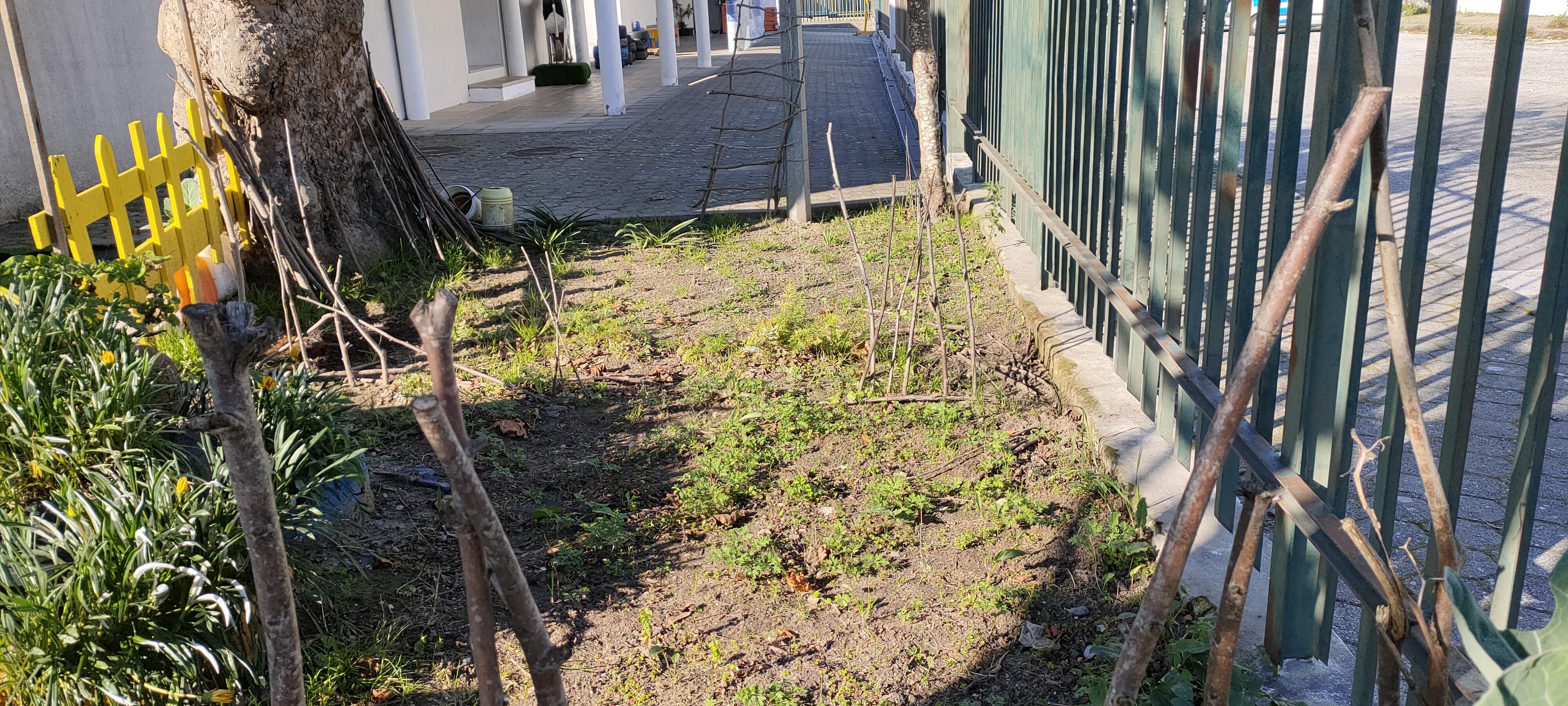 1º conjunto de fotografias (situação inicial da horta)_ Pré-escolar Agrupamento de Escolas de Pardilhó