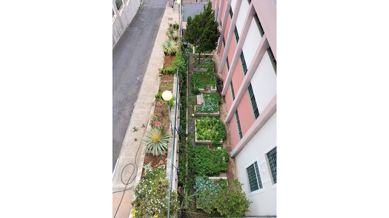 Vista panorâmica da horta Bio