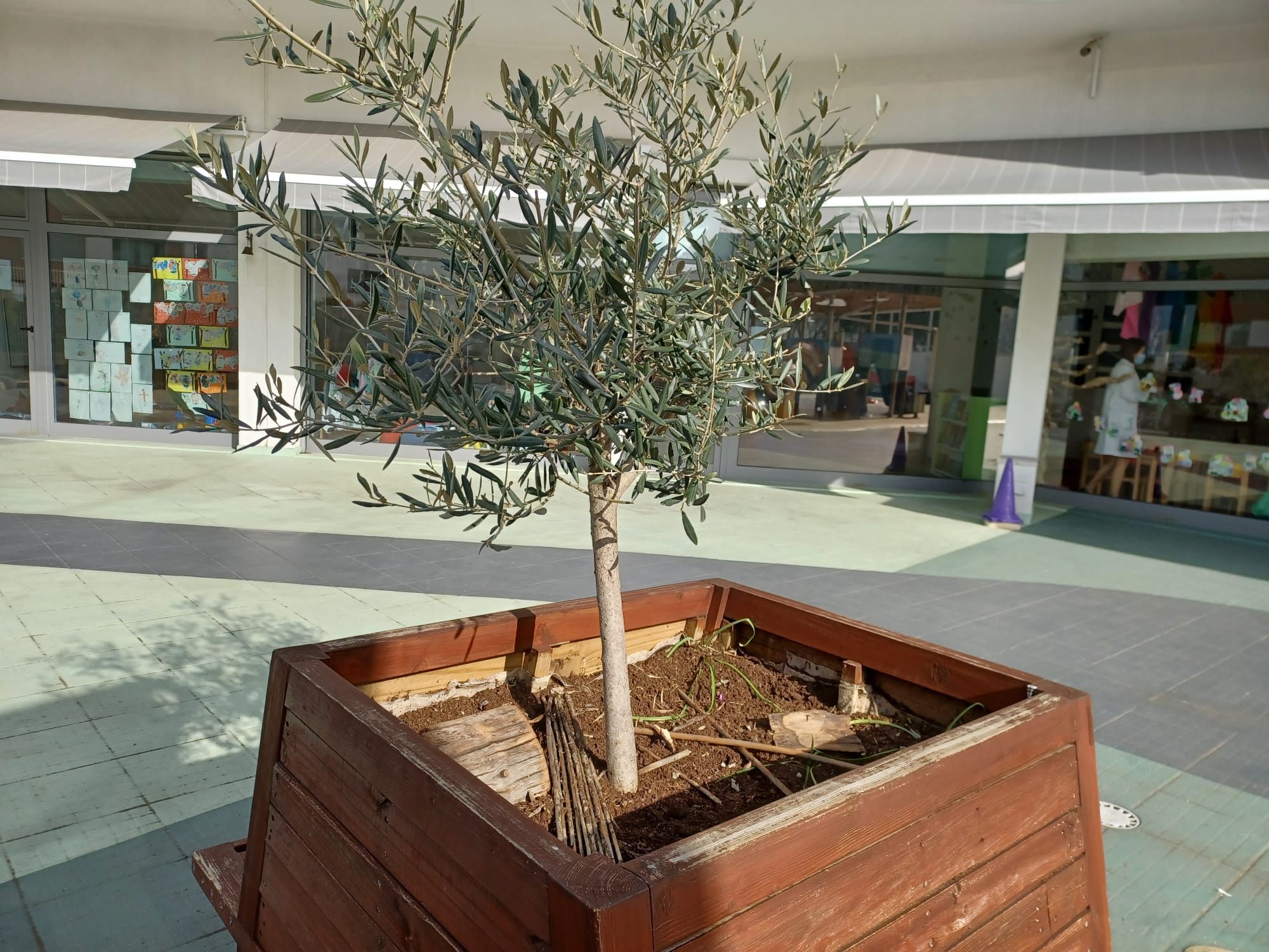 Oliveira