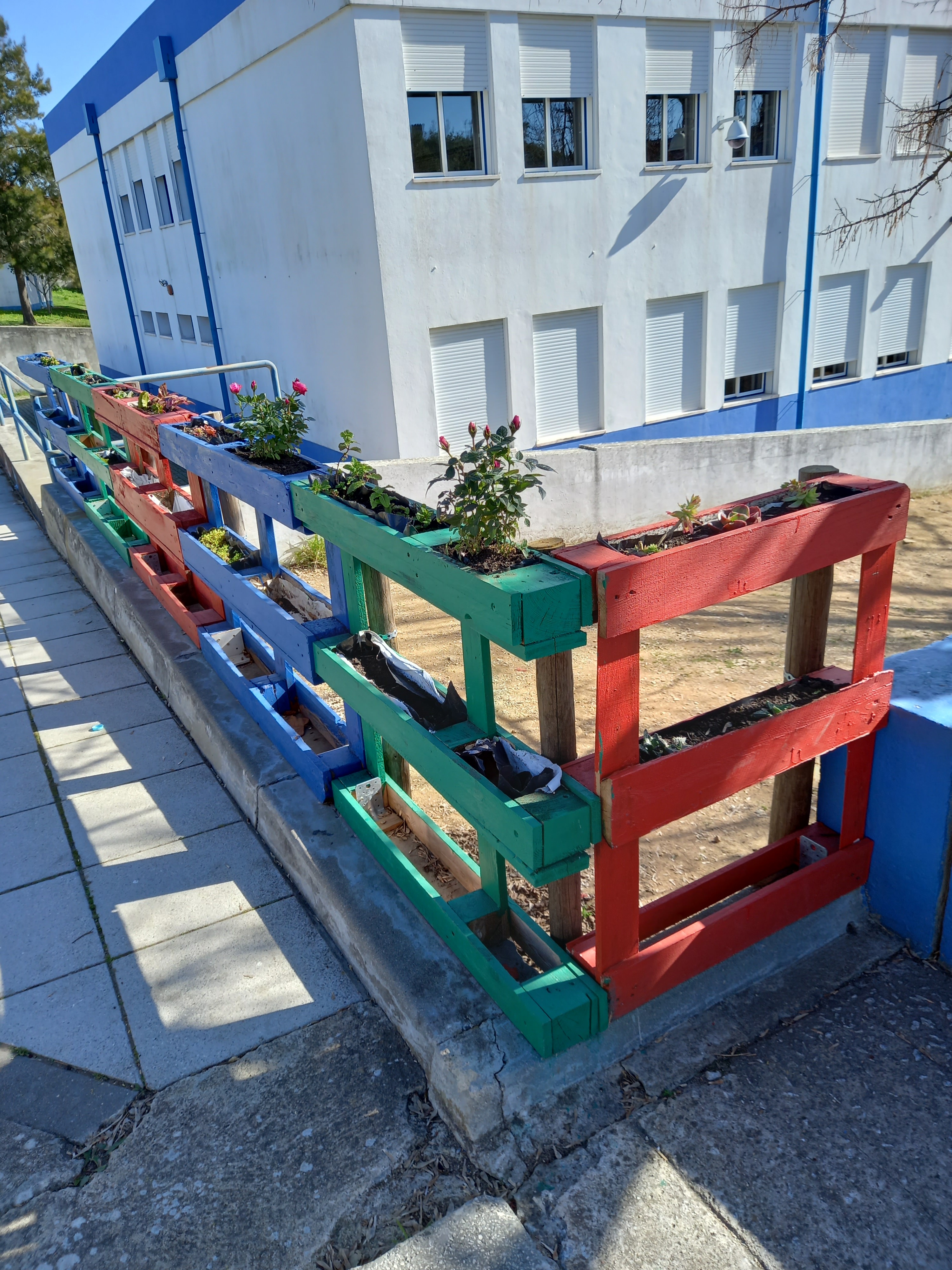 Jardim vertical com cheiro a ervas aromáticas