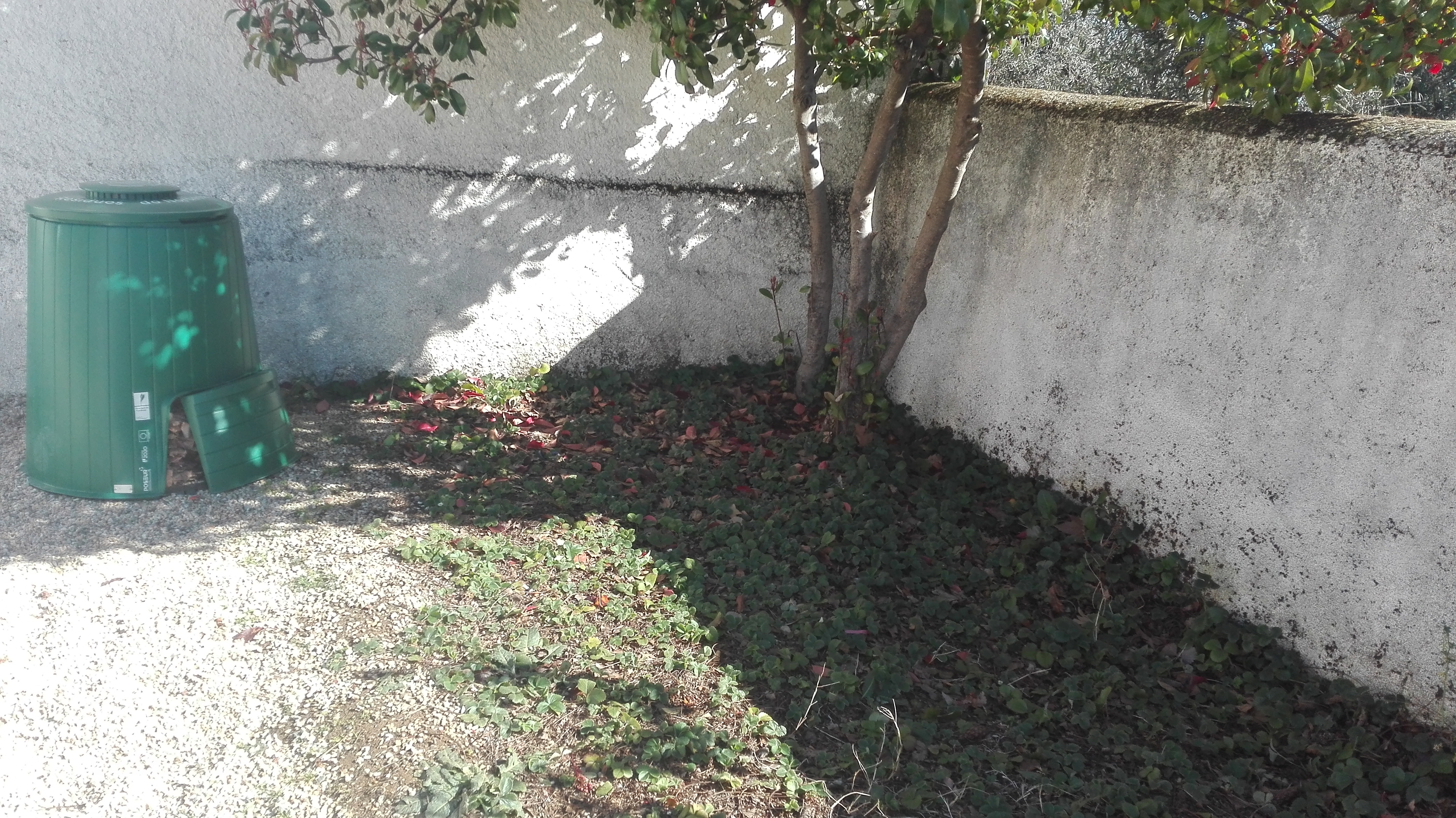 Horta Biológica