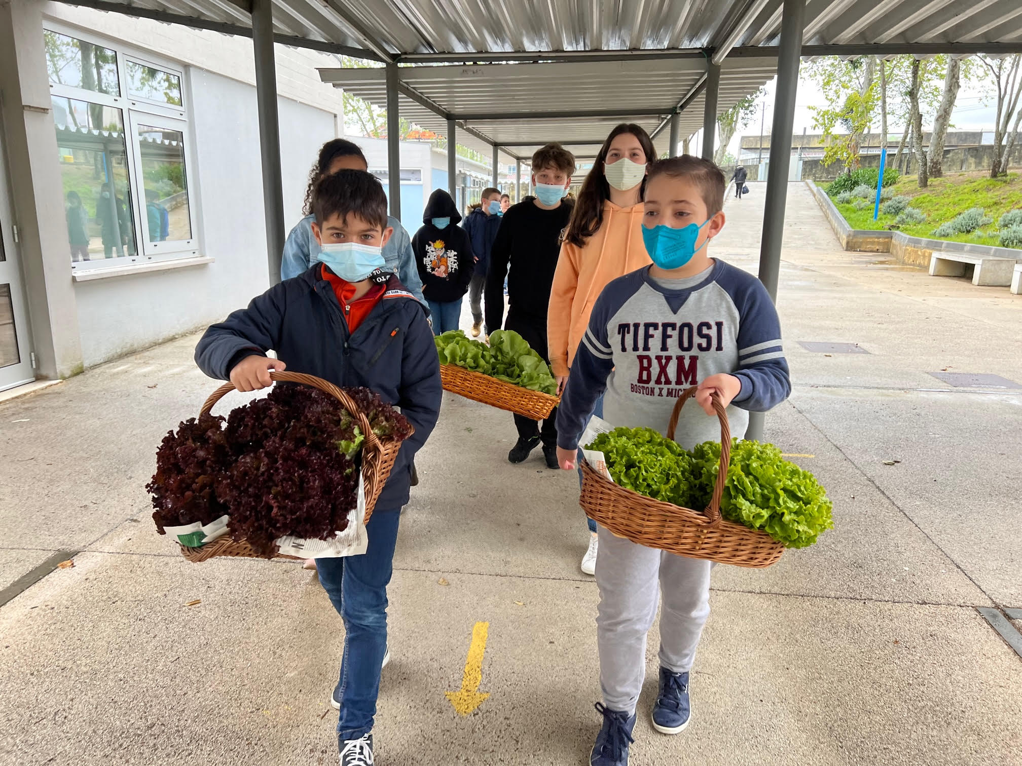 Preparação do mercado de produtos BIO