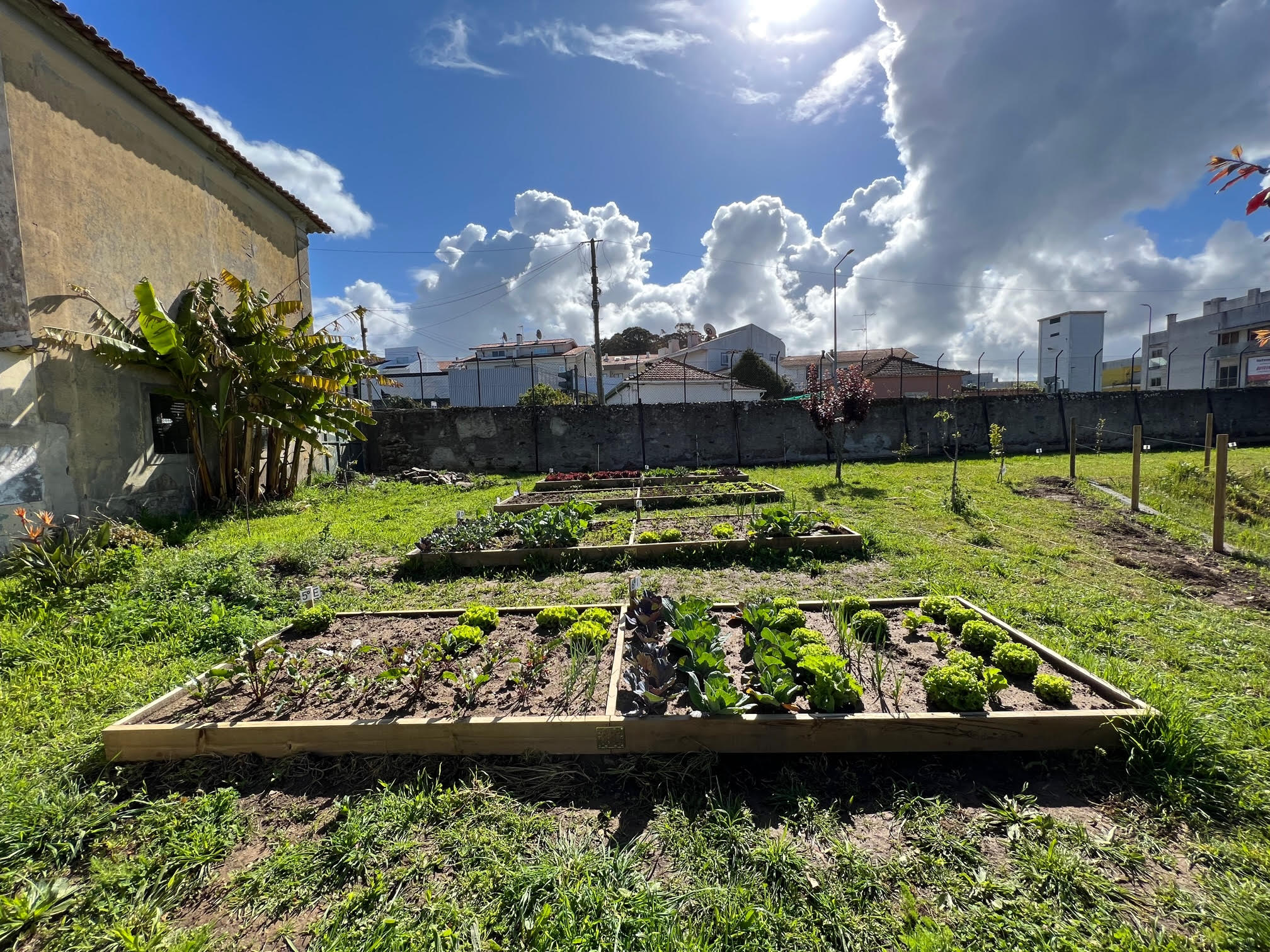 Perspetiva geral da horta