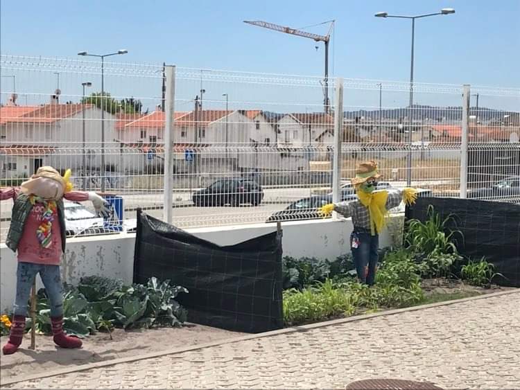 O Preguiçoso do 3º ano gosta mais de descansar.