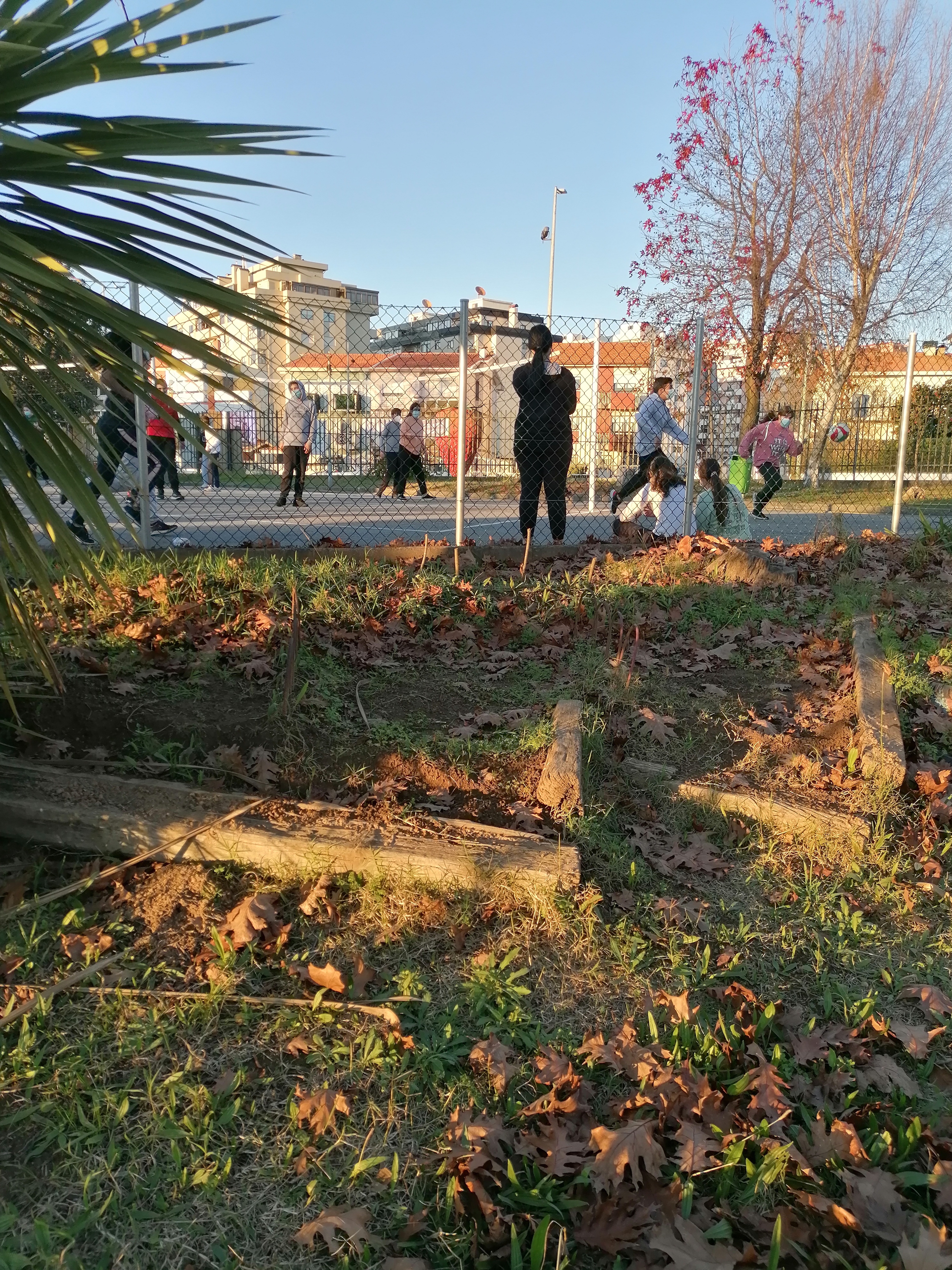 Terreno_ inicial_1