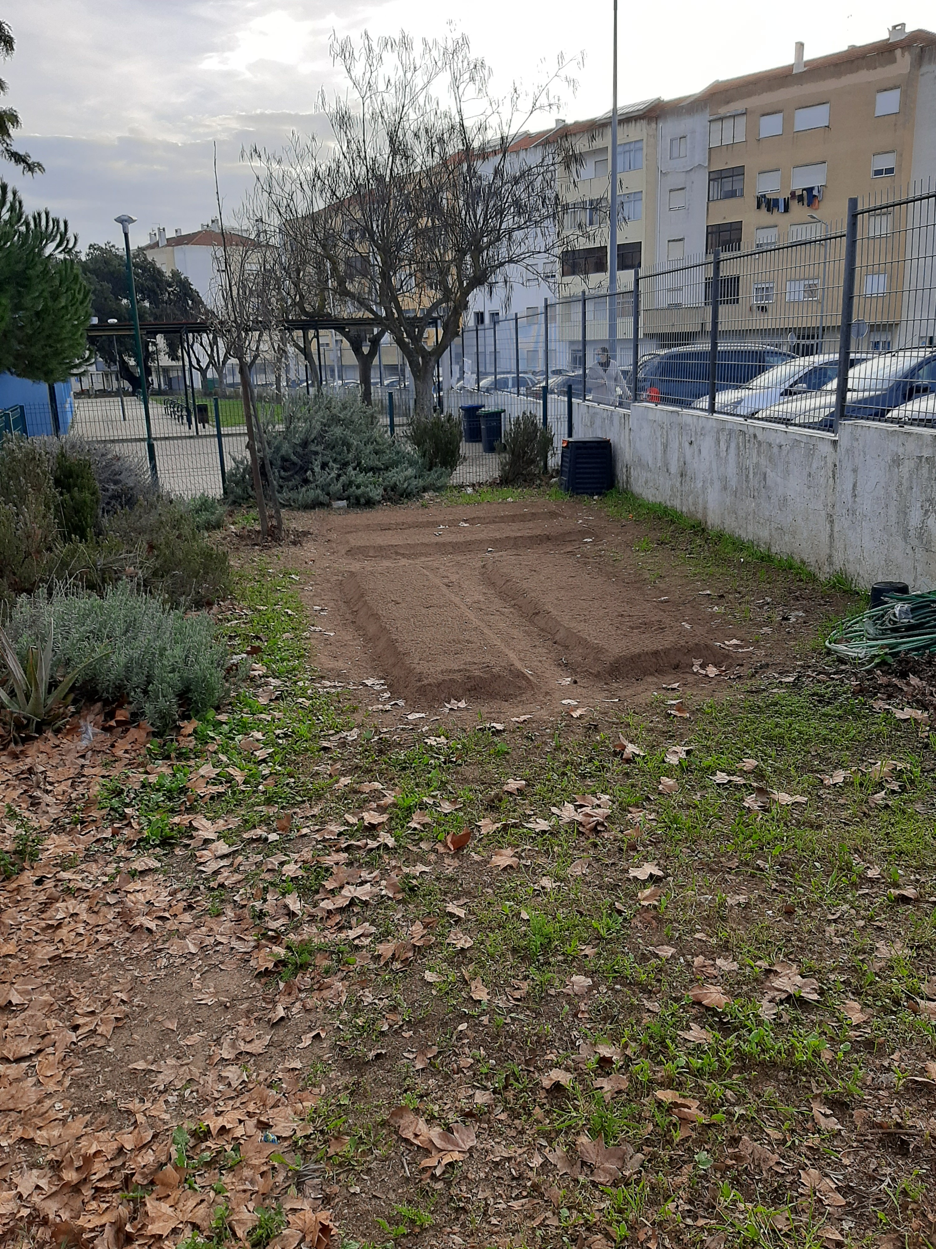 A nossa horta: o recomeço! 

(As fotos apresentam várias preservativas da Horta)