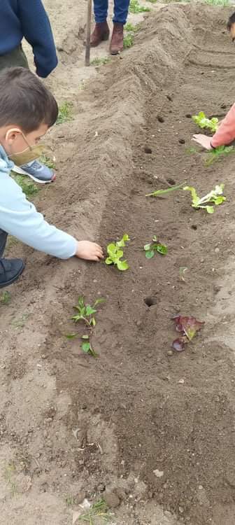 Preparação do Terreno