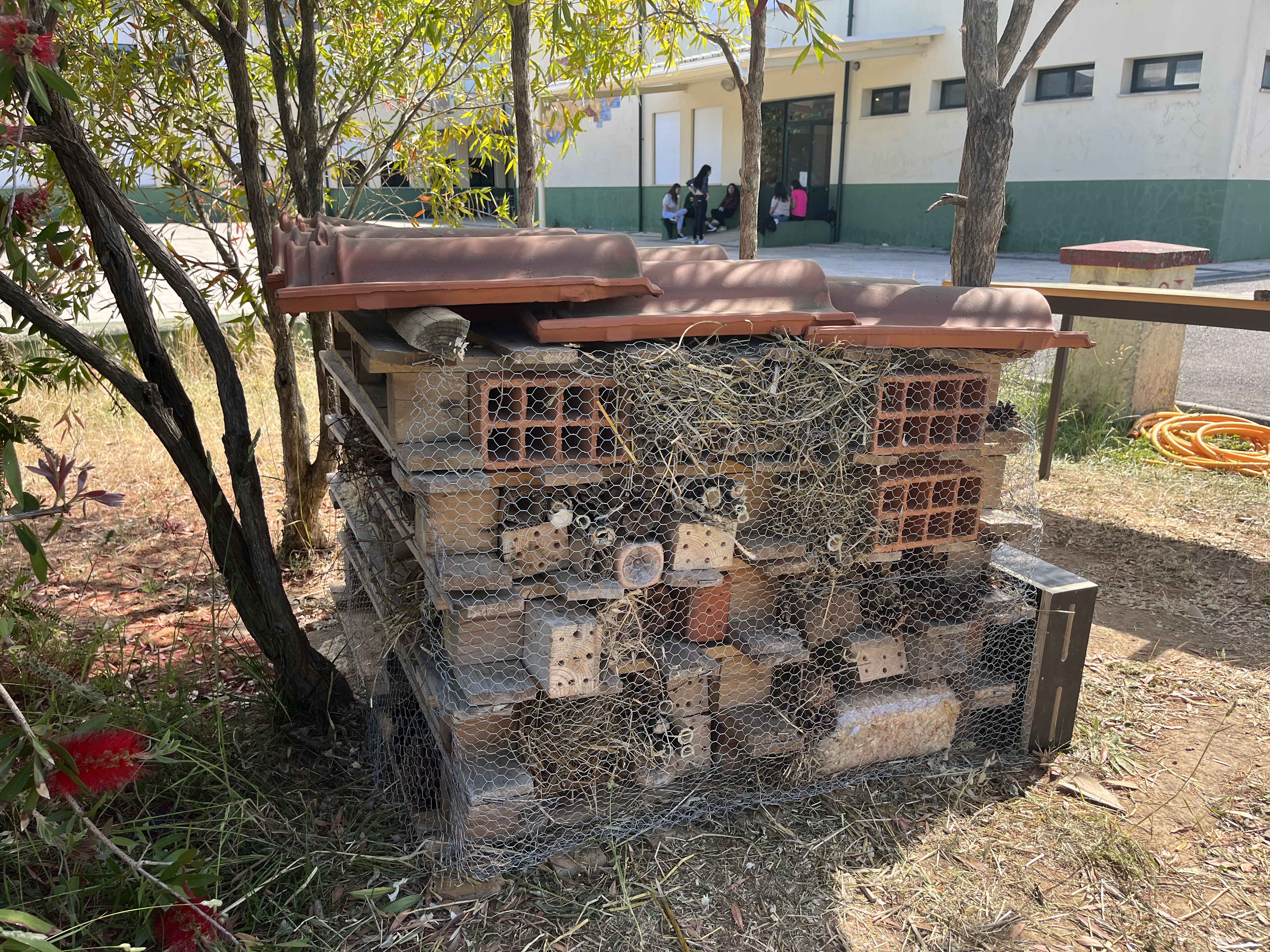 Criação de um insetário junto da horta biológica.