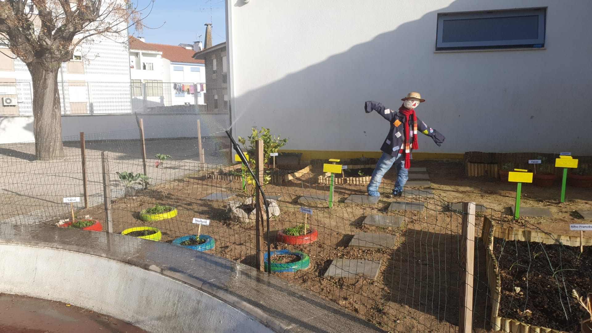 Primeira rega das novas plantas