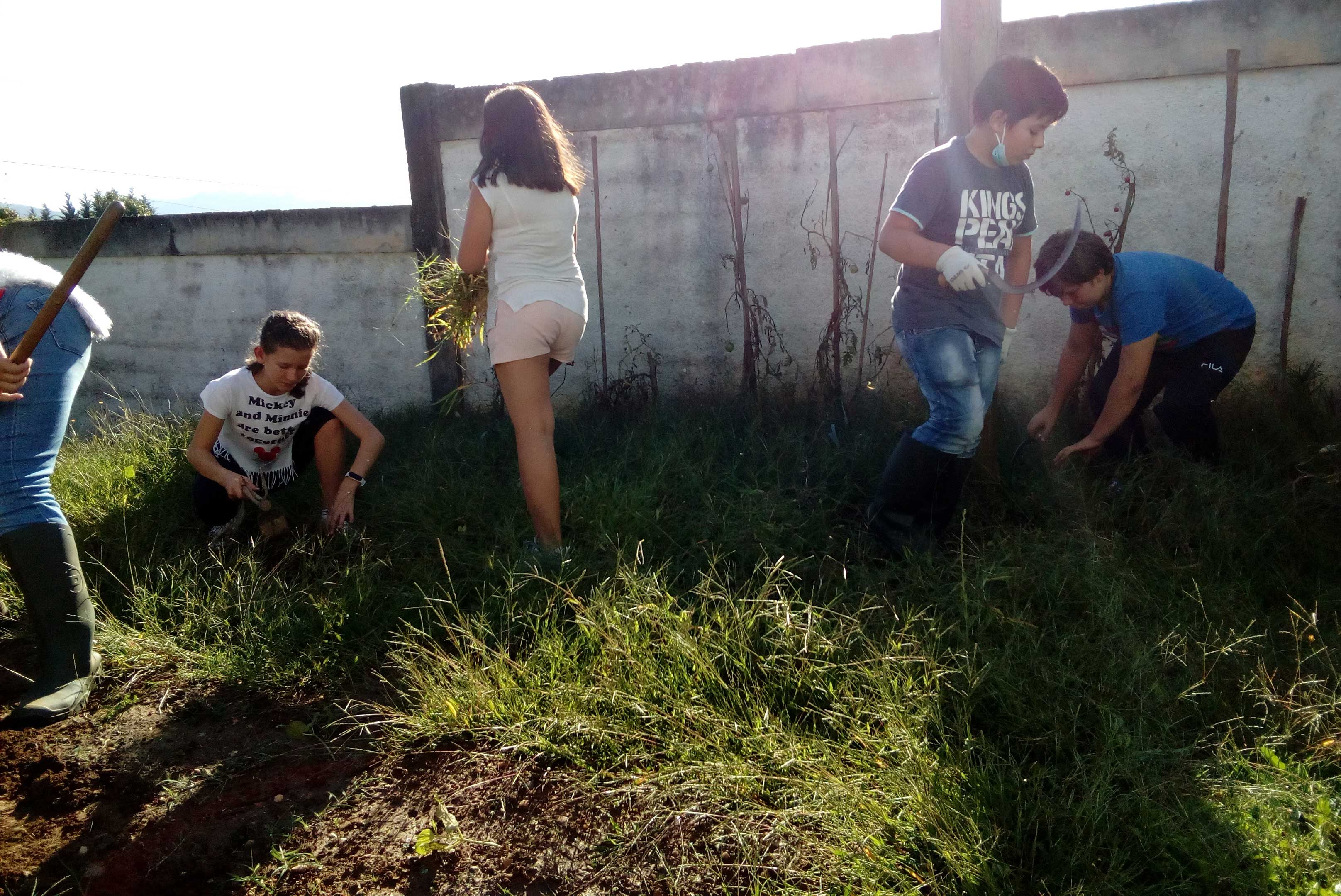 Limpeza do terreno - horta exterior 1. Os alunos fazem a preparação do terreno para a horta exterior.