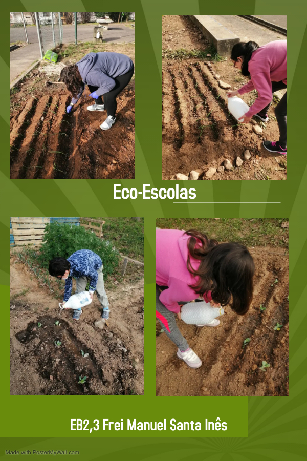 Após o crescimento das sementes todos a plantar e regar!