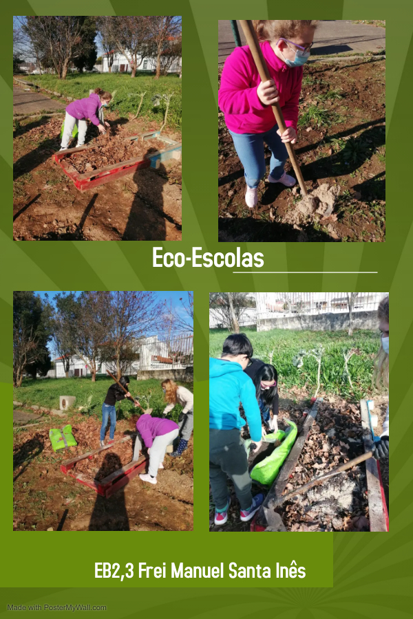 Nesta fotografia podemos ver os alunos a preparar a terra, com areia, folhas, terra, cinza, para colocar as sementes.