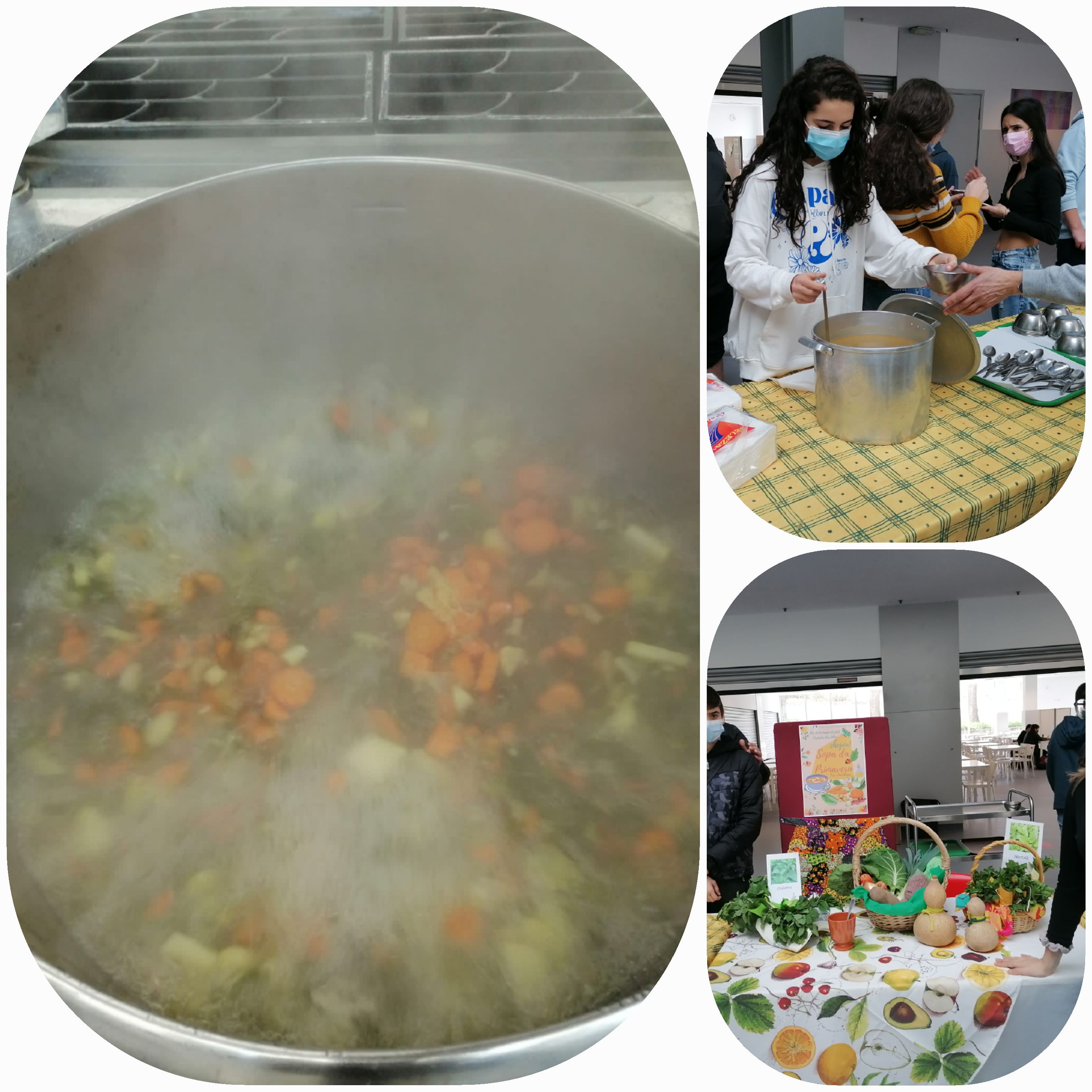 Depois de ajudarem a confecionar a sopa com os legumes da Horta Biológica distribuíram-na a toda a comunidade escolar e fizeram um inquérito acerca hábitos diários de consumo de sopa.