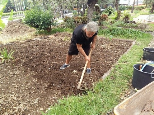 Preparação do terreno