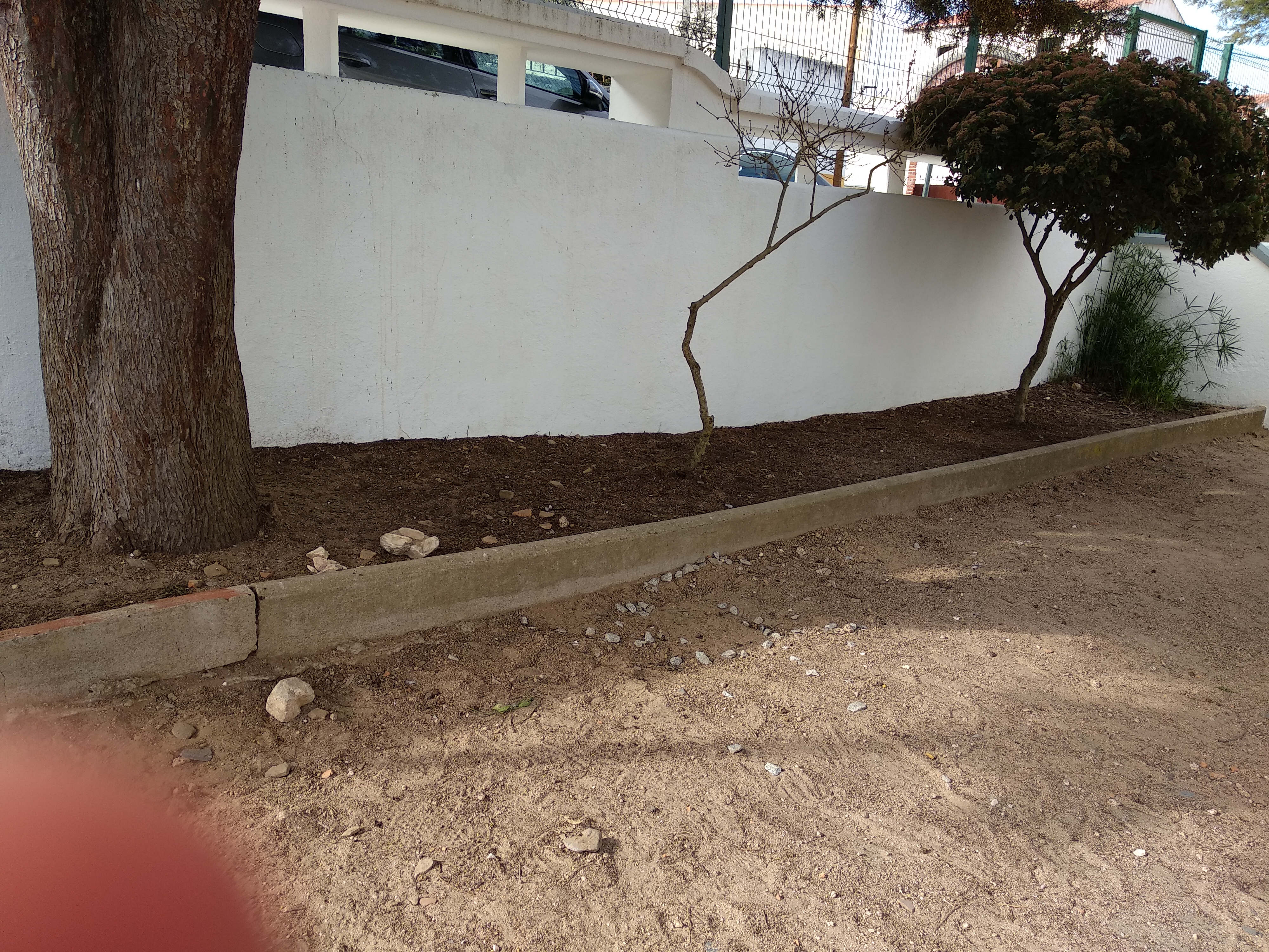 Espaço-horta