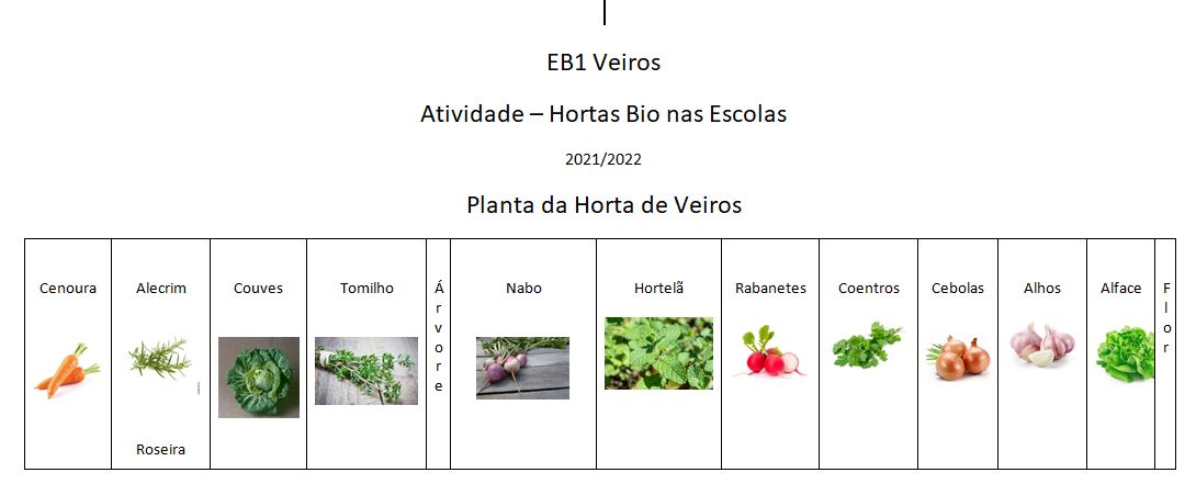 Placas de identificação das plantas.