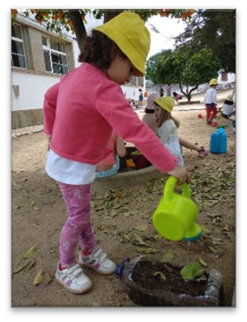 Mantenção.