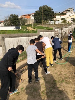 Preparar a terra_trabalho colaborativo