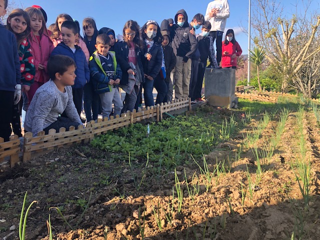 Visita dos alunos do 1º ciclo à horta (atividade promovida pela turma 8ºA, responsável pelo Projeto "Fazer do legume um costume"