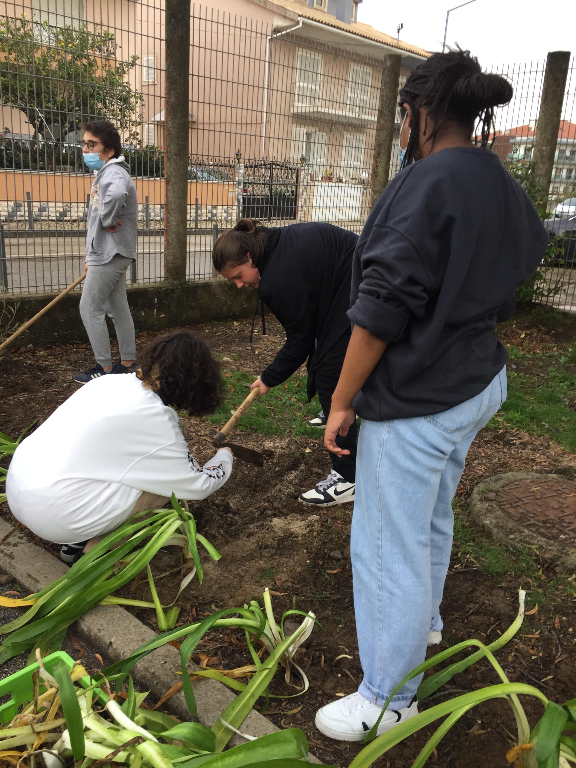Espaço junto à horta principal: voluntárias da "Hora da jardinagem" a plantar agapantos.