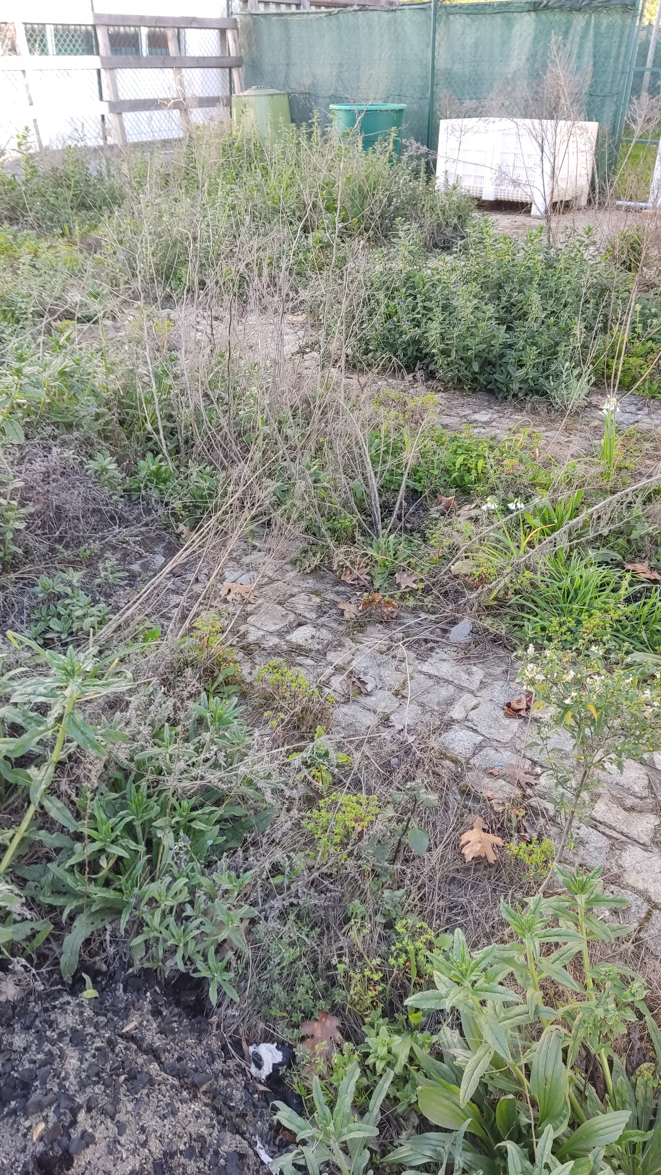 terreno por preparar