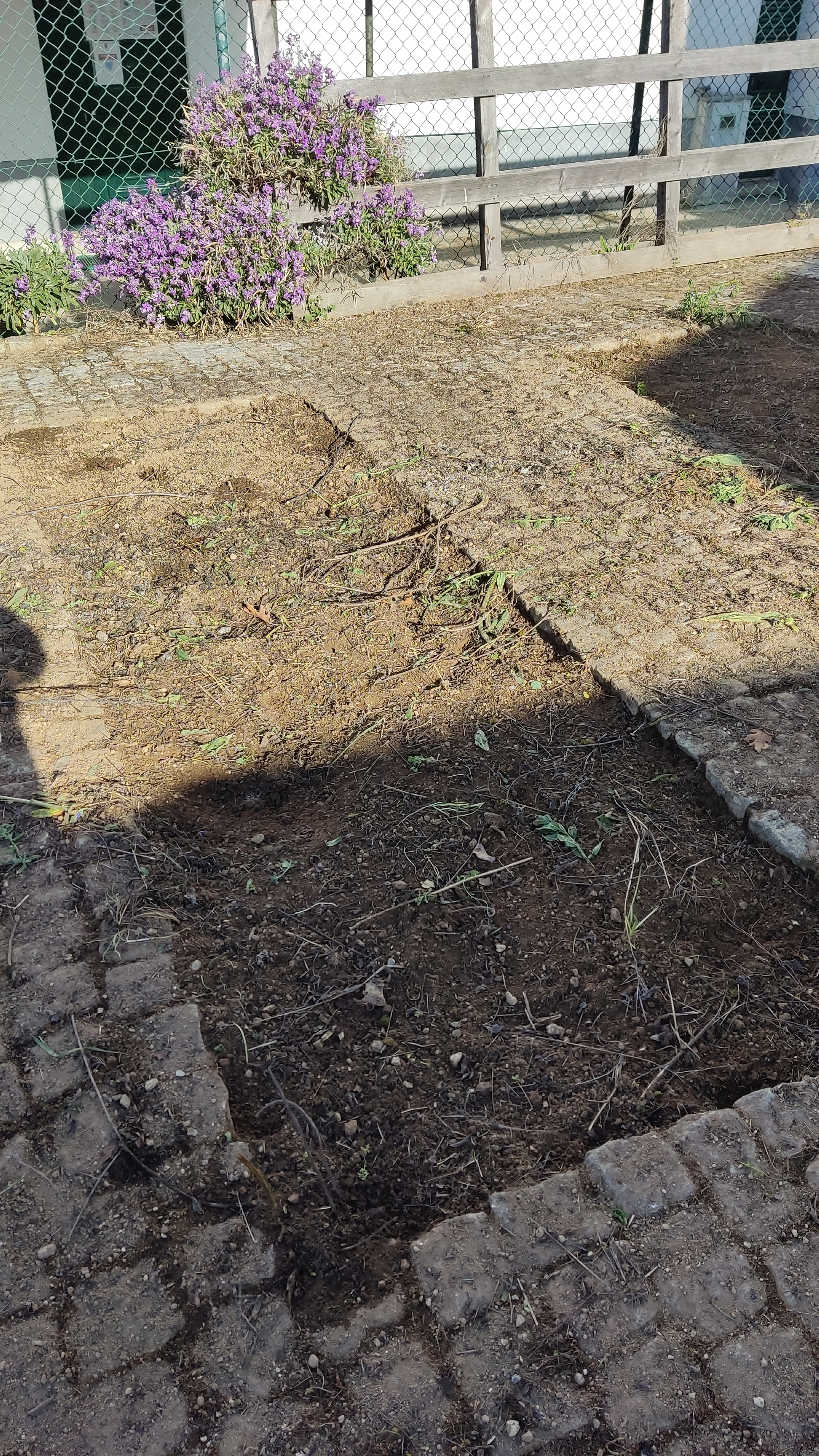Terra pronta para a plantação.