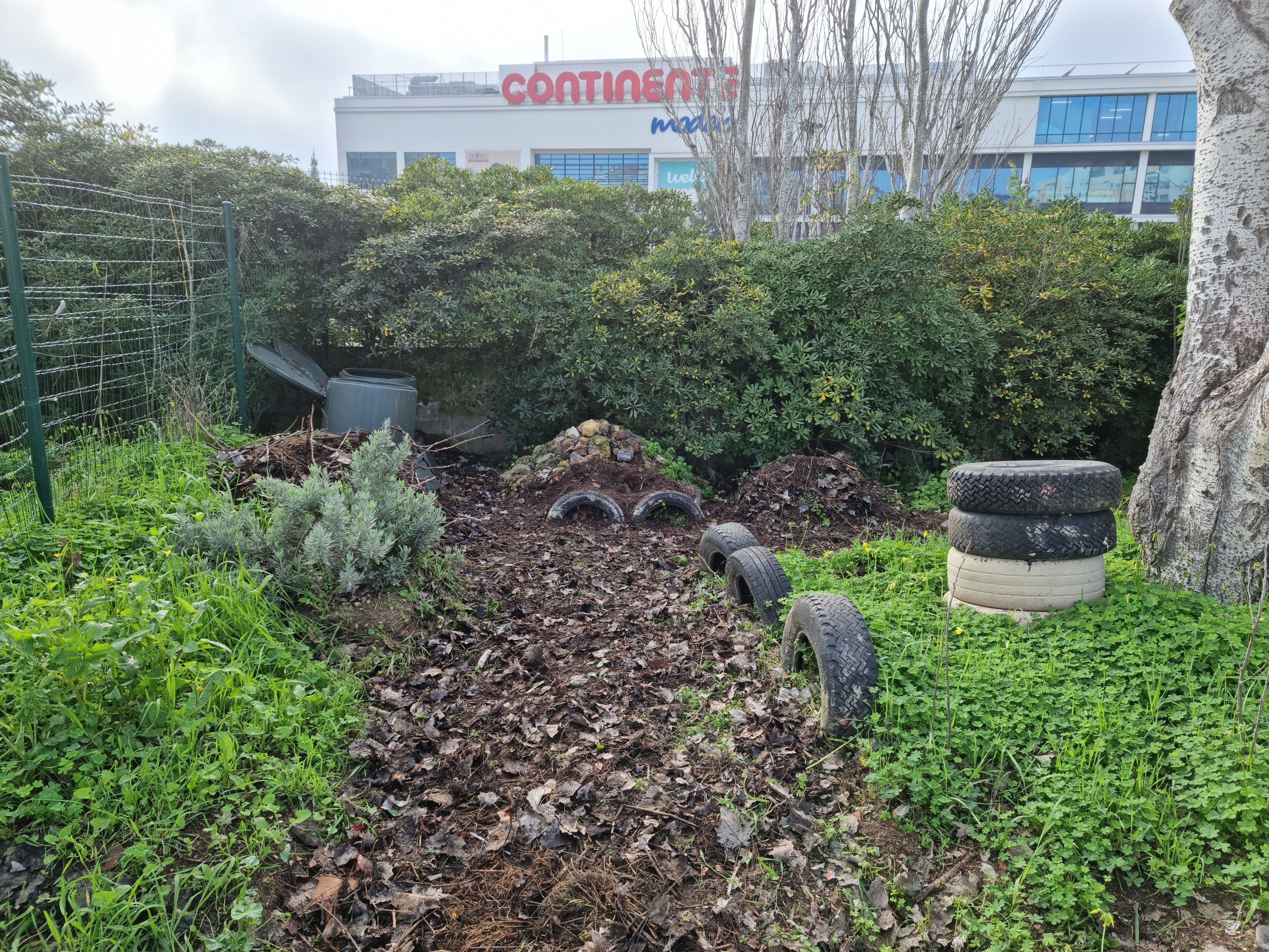 ZONA DE COMPOSTAGEM E DEPÓSITOS DE INERTES - O Terreno Pedagógico está organizado em várias zonas com funções distintas que necessitam de manutenção por parte dos alunos