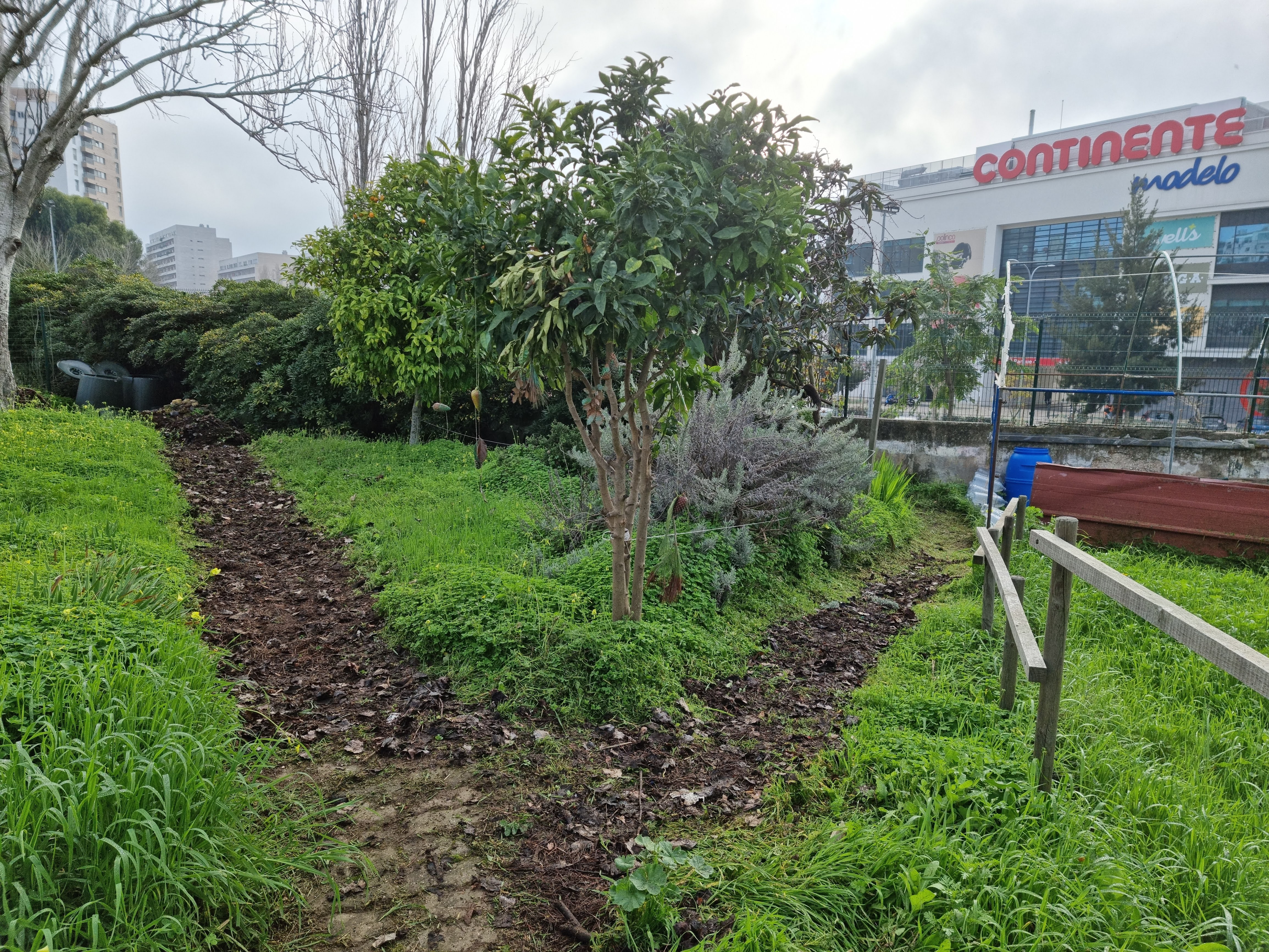 VIAS DE CIRCULAÇÃO - O Terreno Pedagógico prevê na sua organização vias de circulação, que necessitam de manutenção por parte dos alunos. Utilização de manta morta e agulhas de pinheiro para controlar o crescimento de plantas consideradas daninhas.
